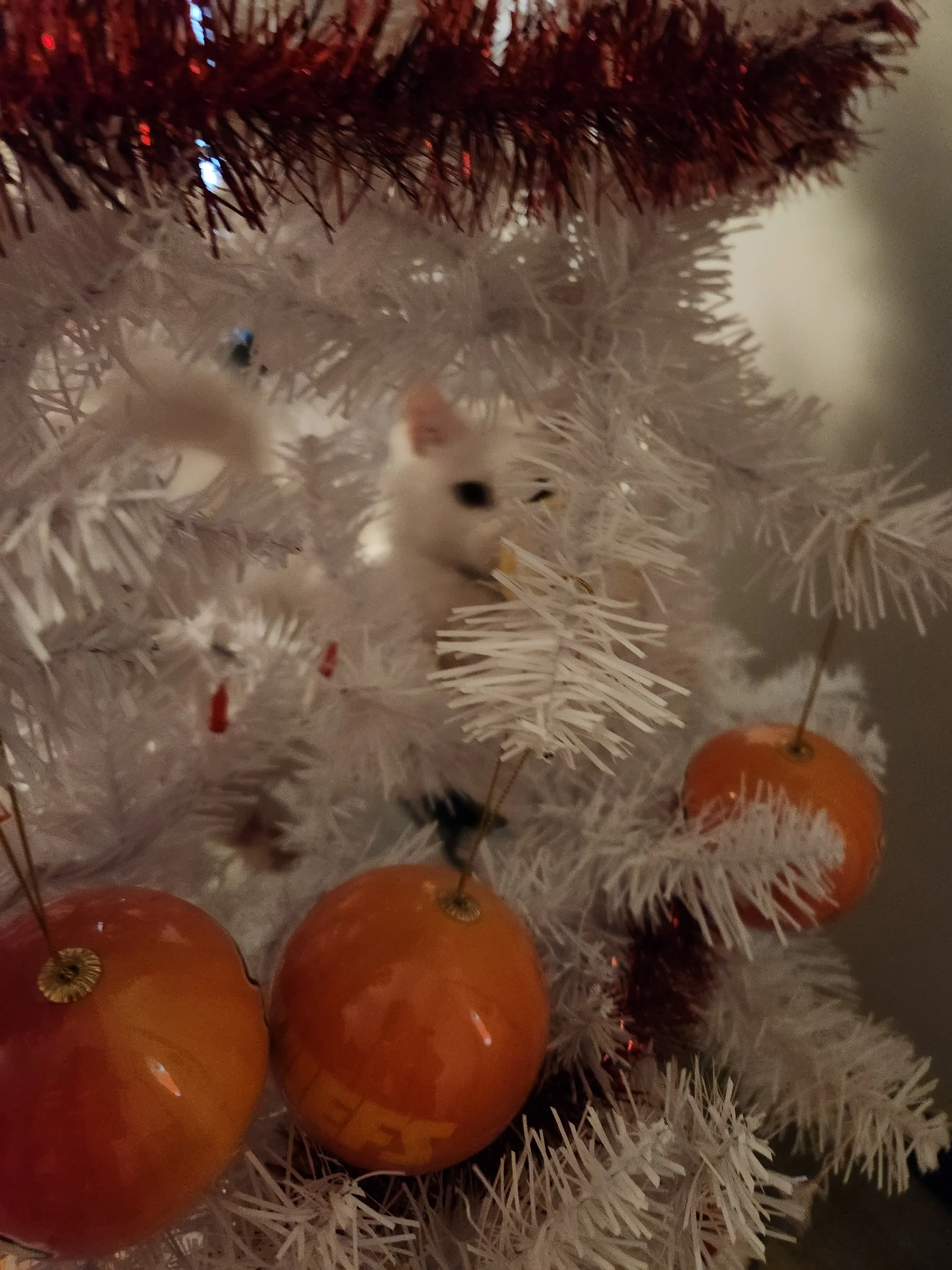20231103_094232.jpg