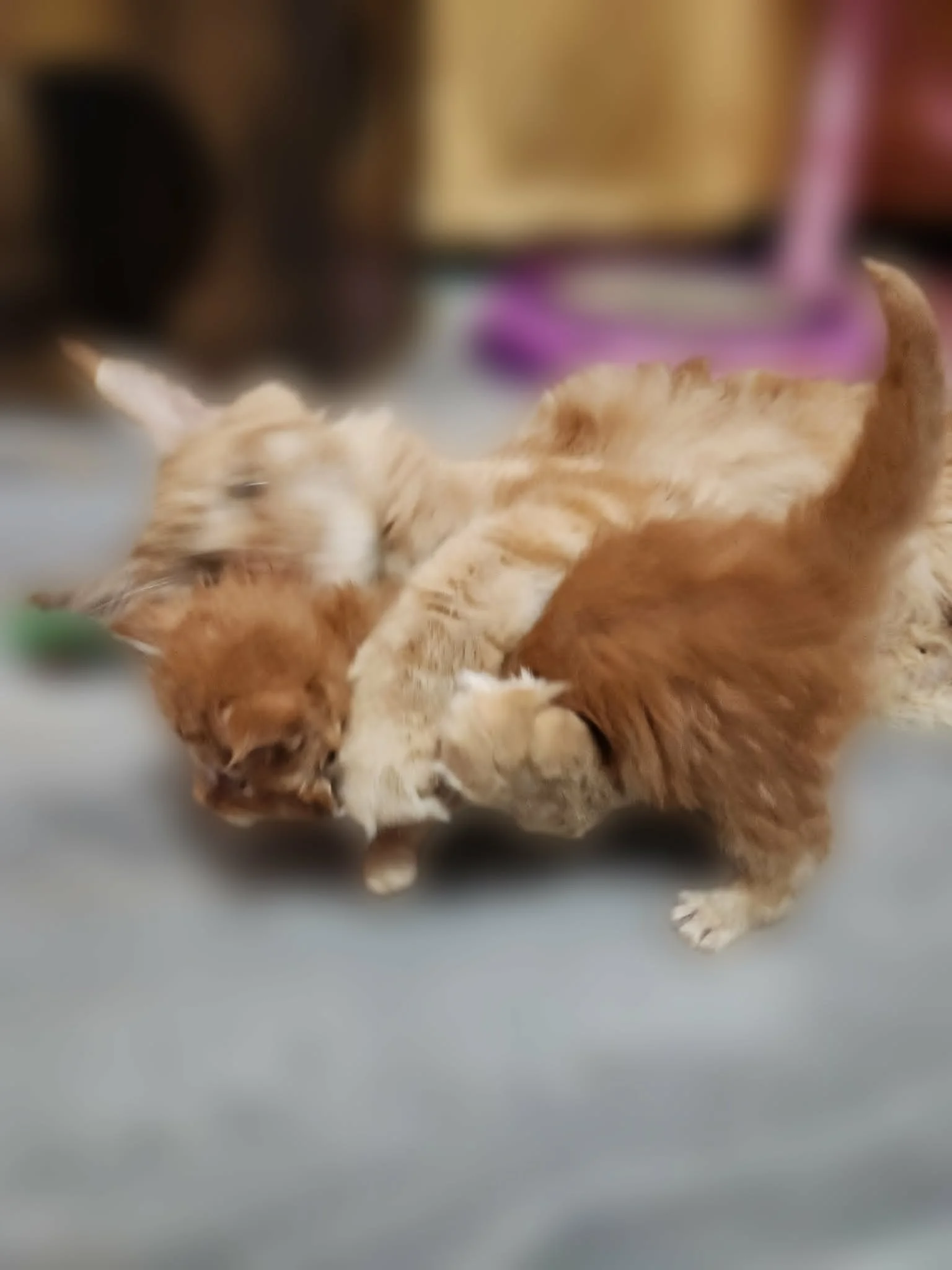 6d72af5e-a62d-43b1-affb-25d91d4fde45.jpg