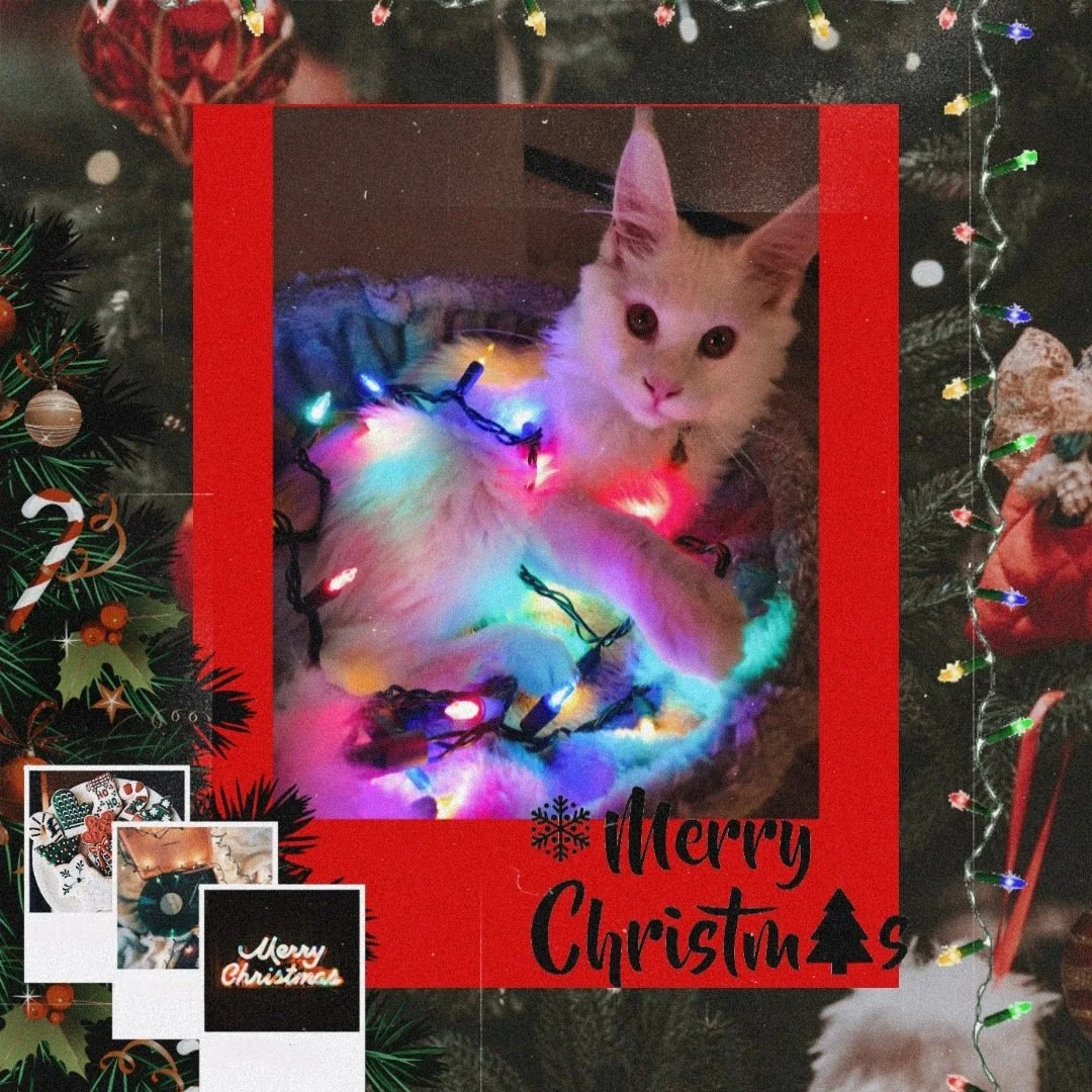 Picsart_23-11-23_16-21-06-405.jpg