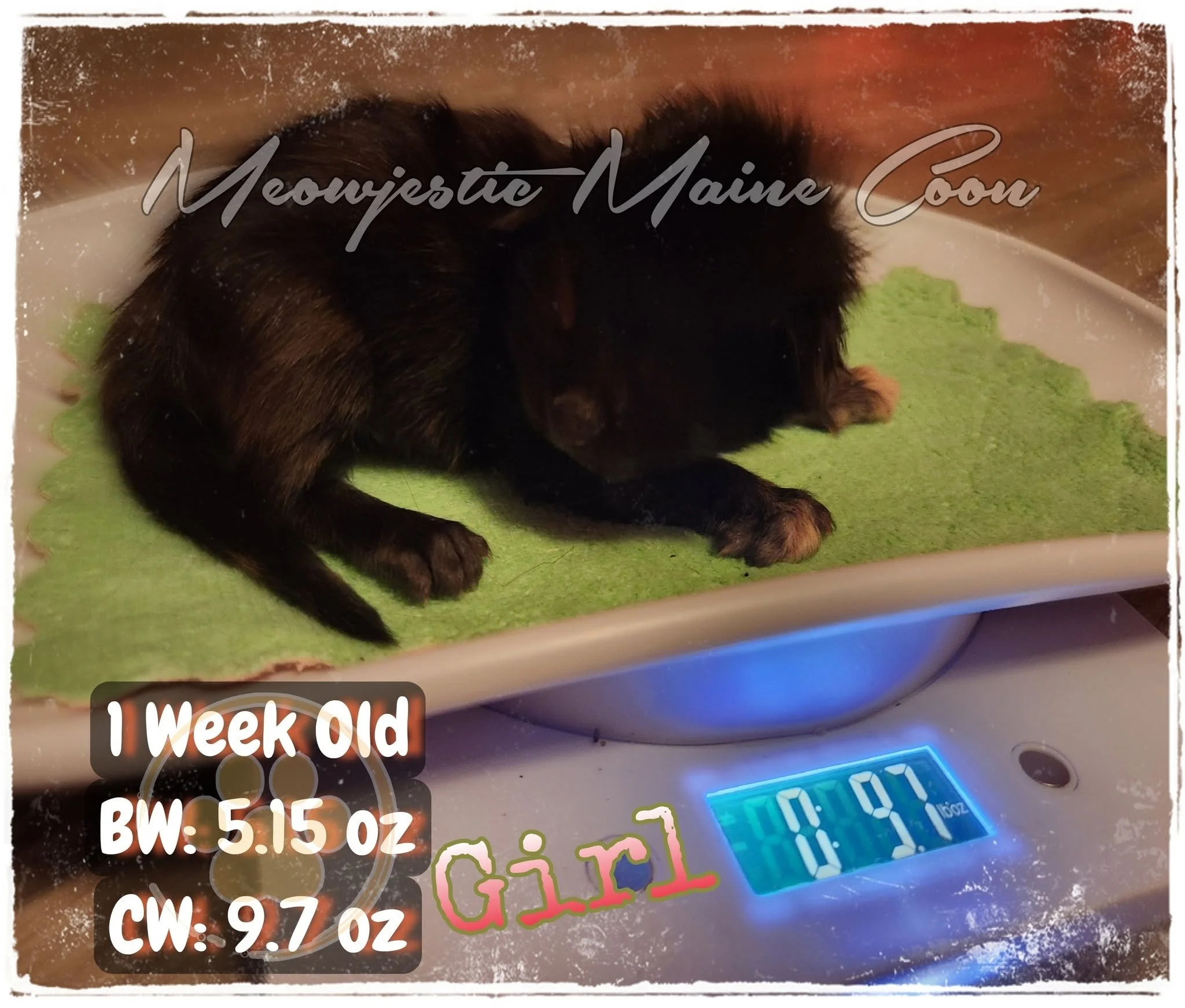 478092167_122142661994567091_7993483543978560190_n.jpg