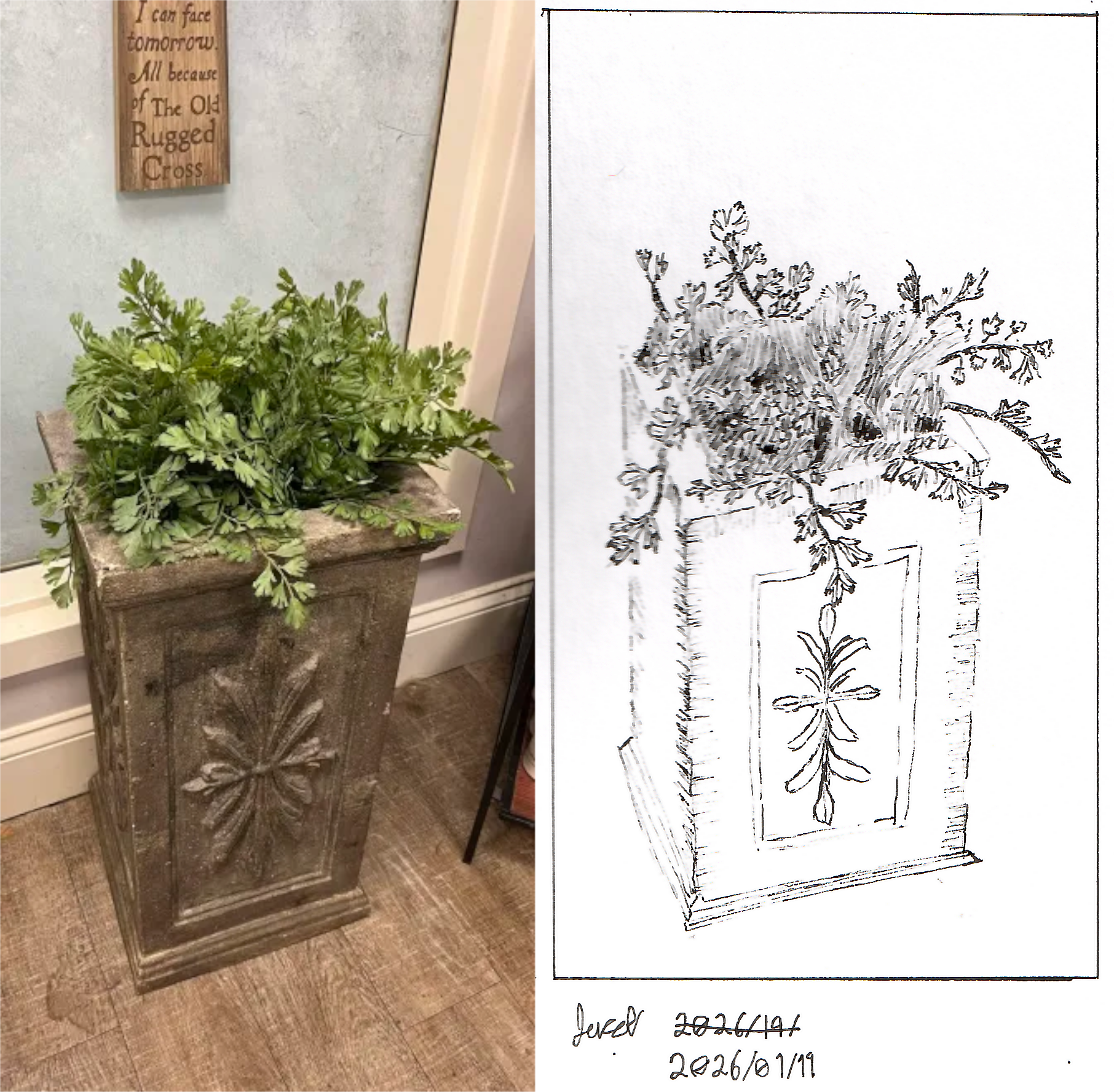 IndoorBoxPlant.png