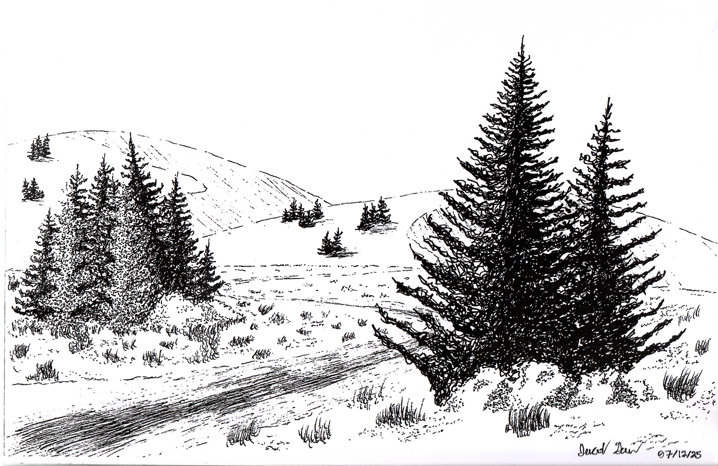 PineHillPath.png