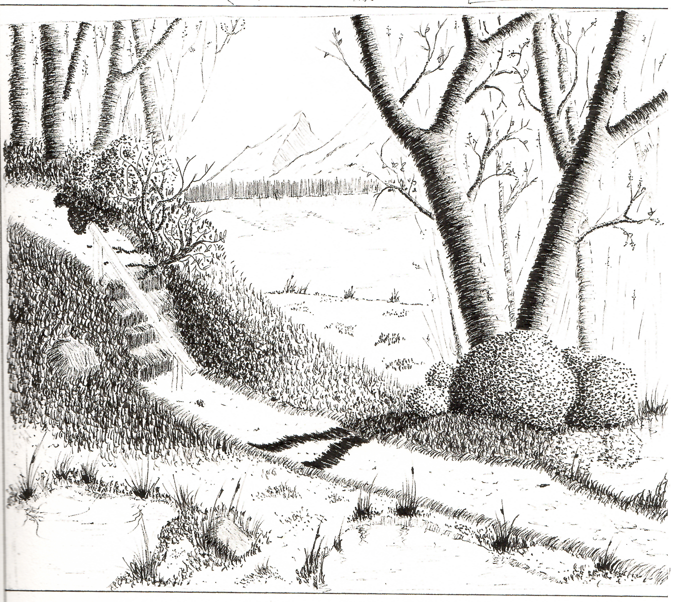 DoublePeakPond.png