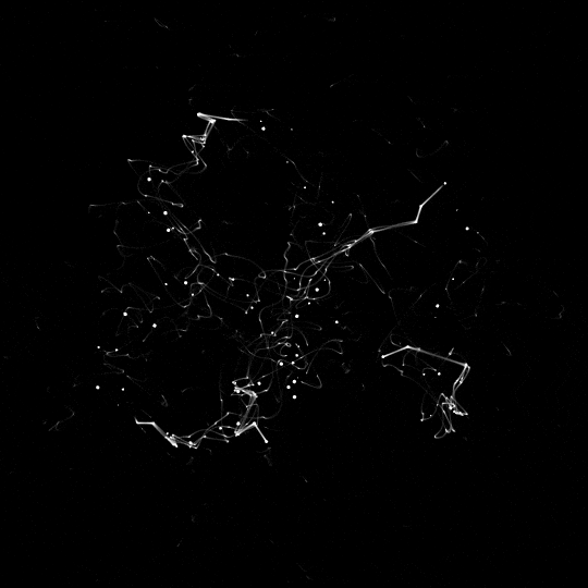 Abstract image of white lines and dots connected in a complex pattern on a black background.