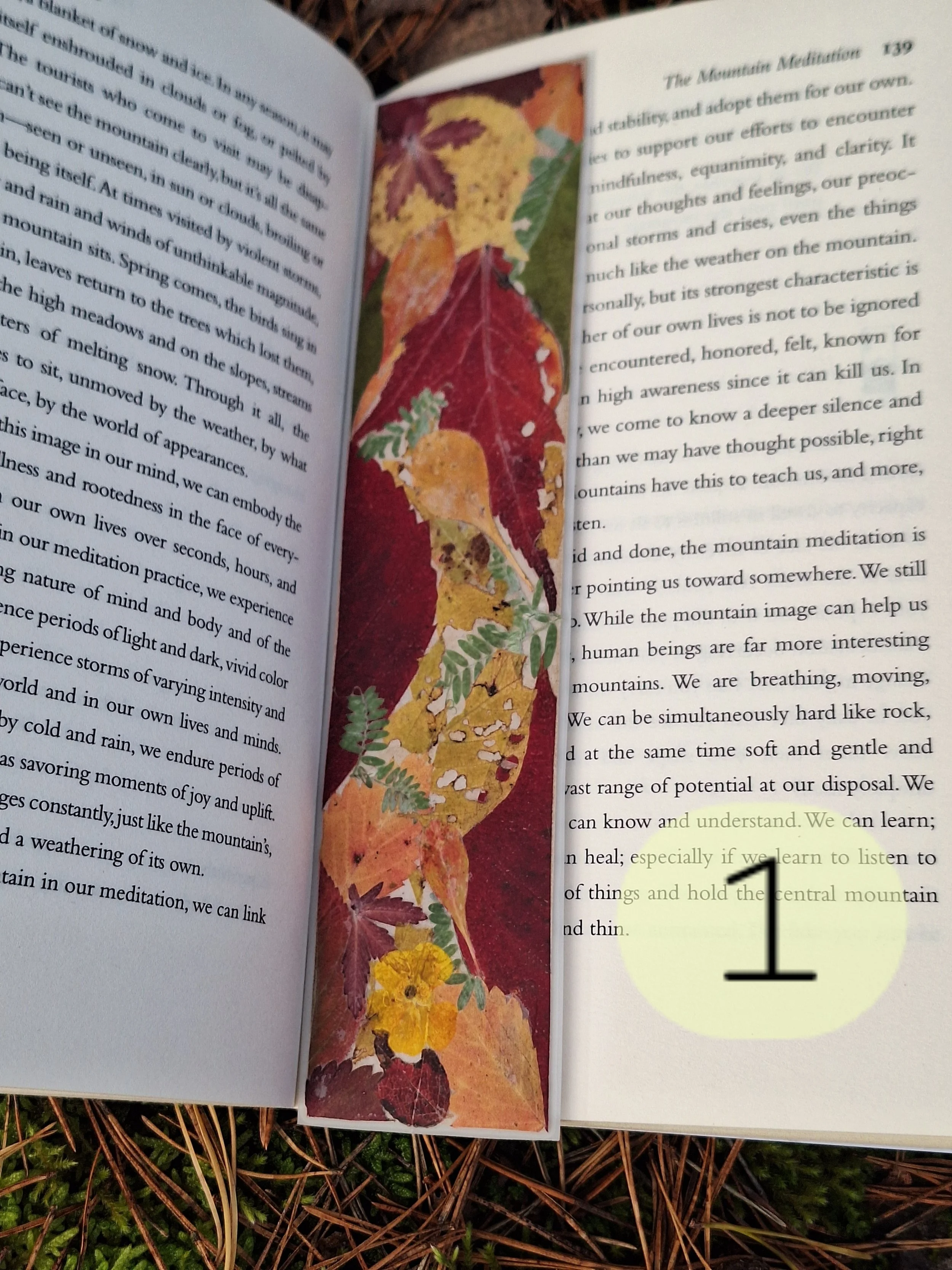 Premium Pressed Flower Bookmark | Matte Laminated Autumn Art