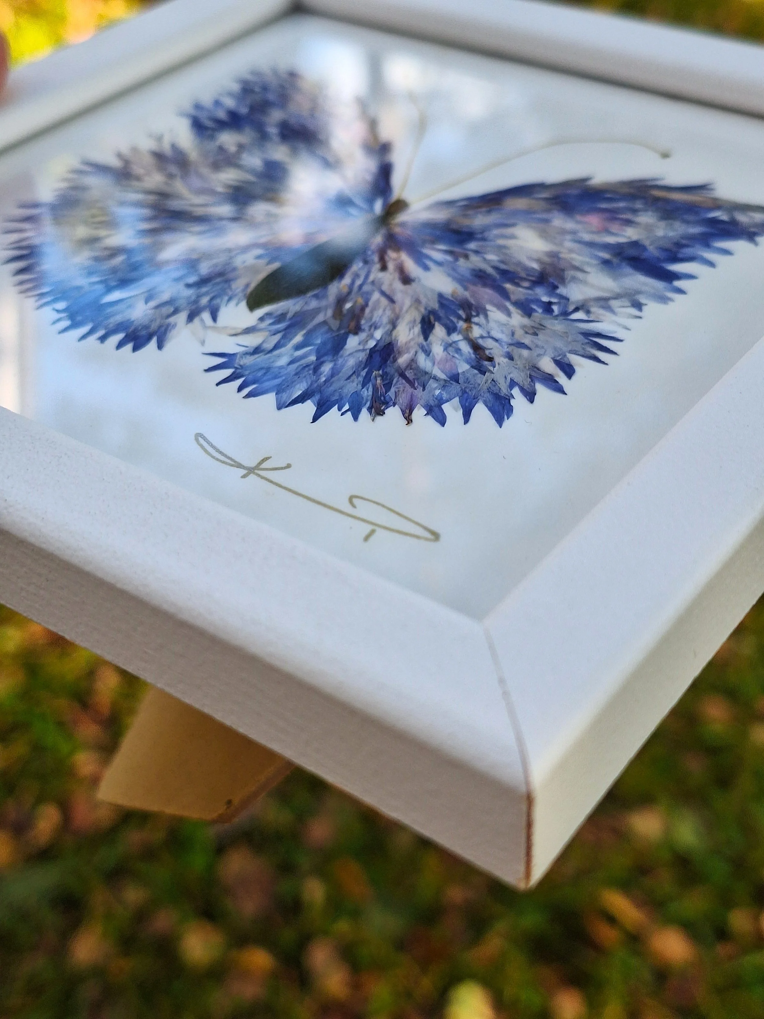 High-end pressed flower art by Kai Lillekaardid featuring a detailed blue butterfly wing mosaic made from authentic real petals, elegantly styled in a square white frame.