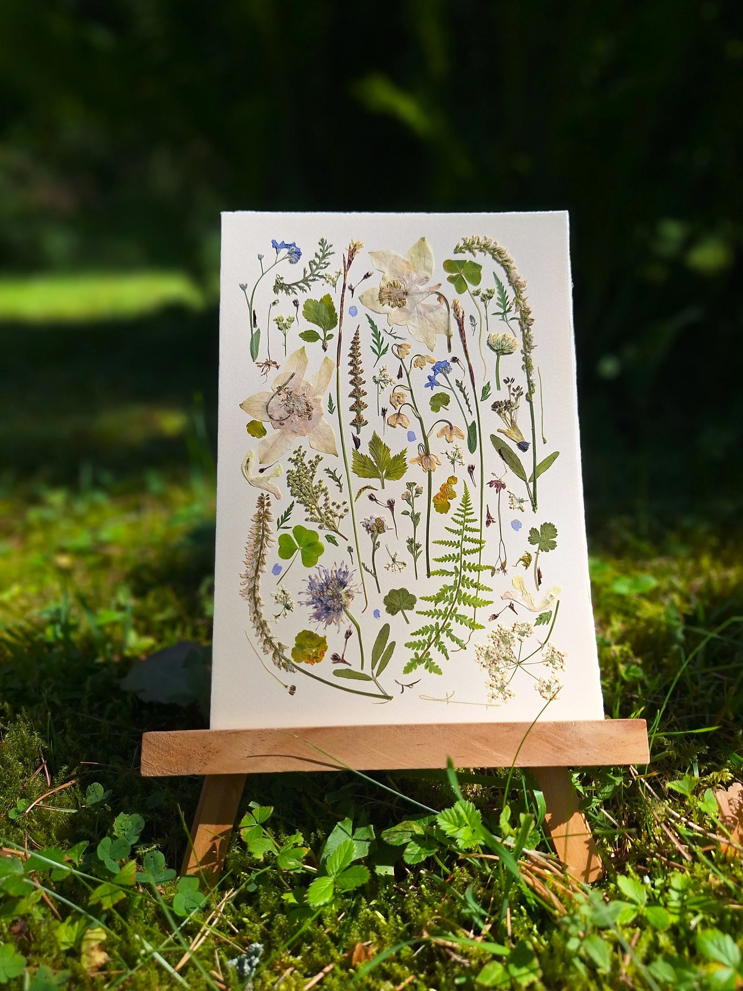 This card features an orderly, specimen-like presentation of white flowers, leaves, clovers and stems, like a real herbarium.