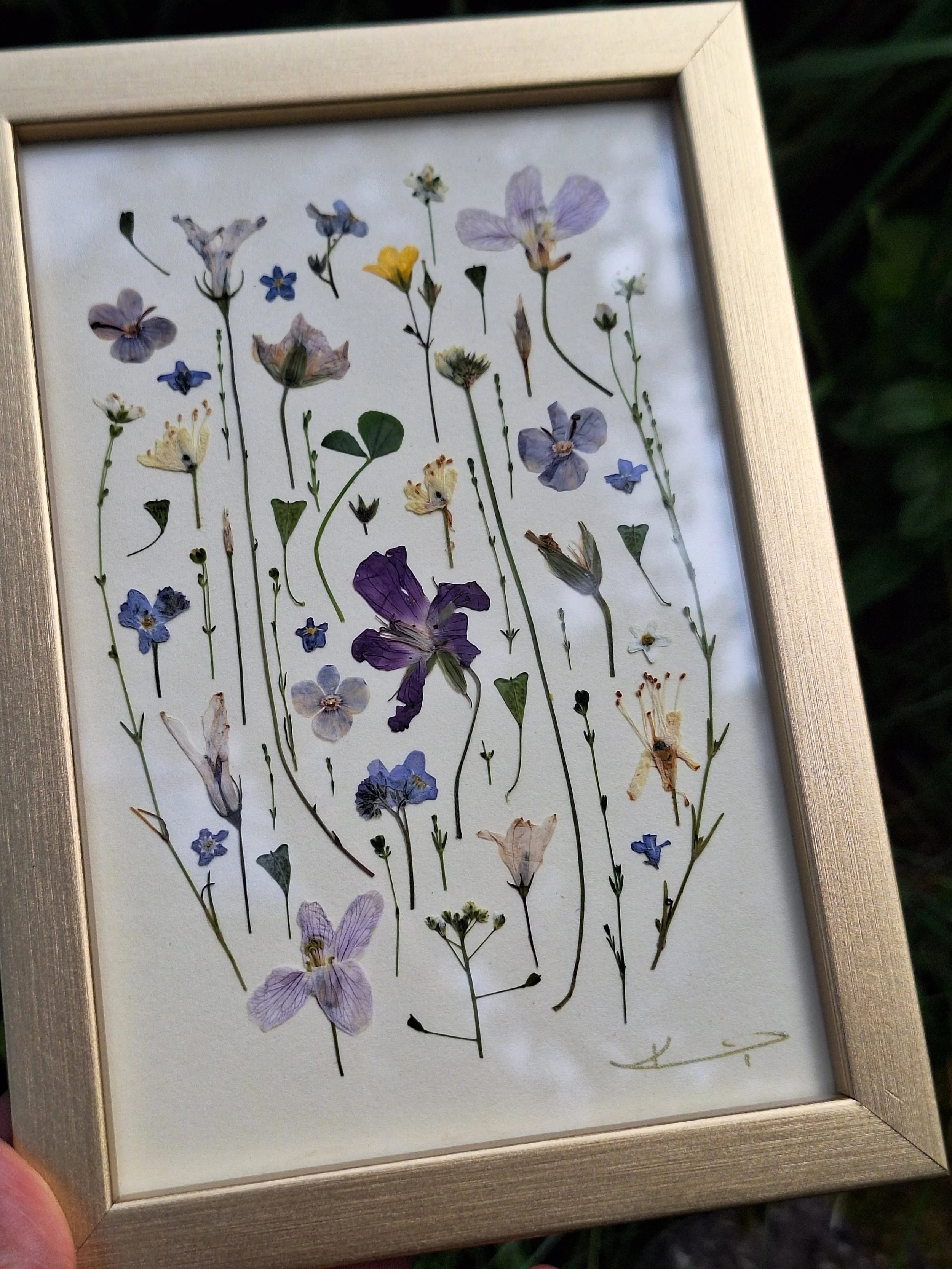 Vertical botanical composition of real pressed wildflower stems in purple and blue tones, showcased inside a sleek, polished metallic gold frame.