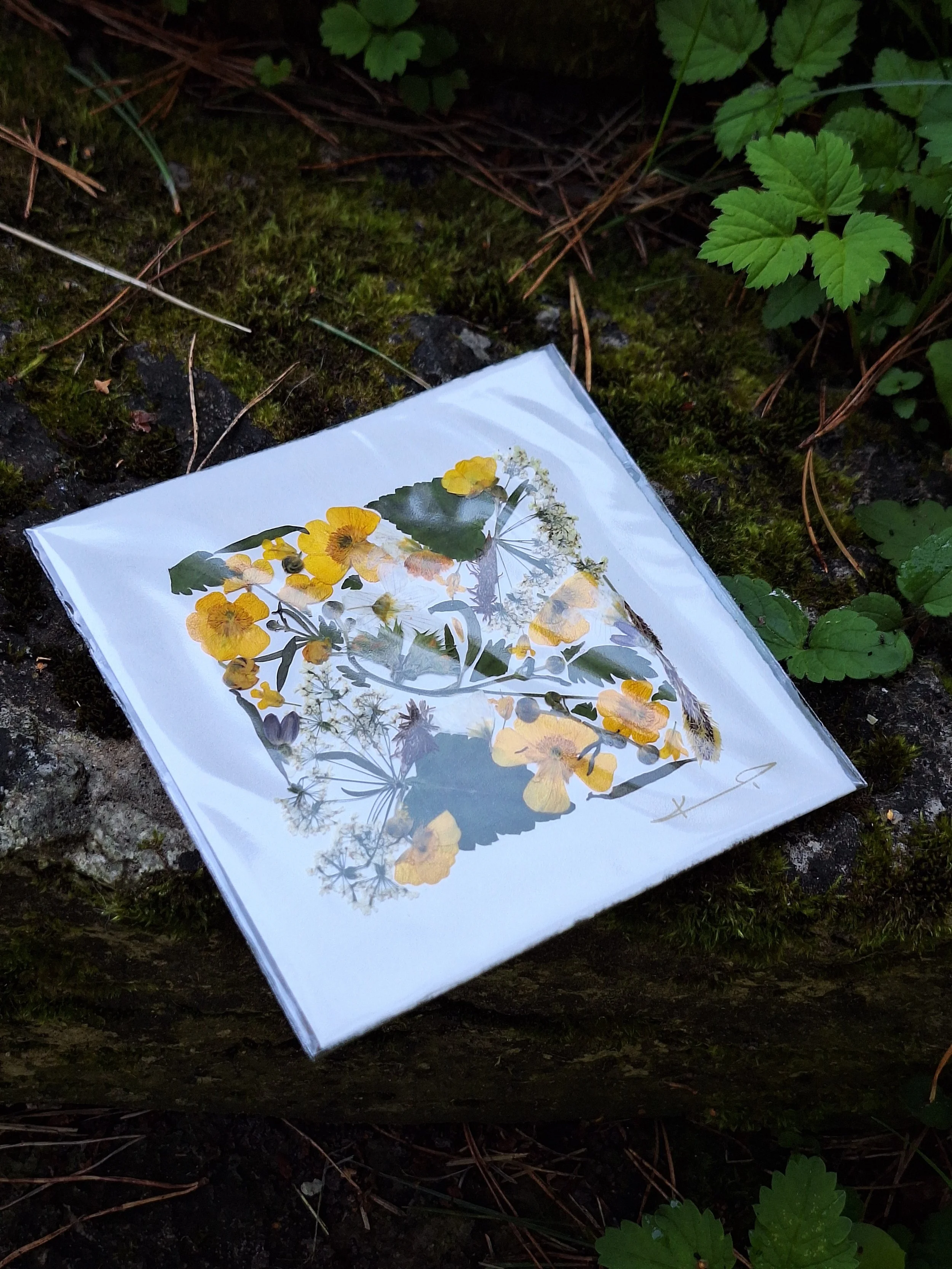 Handmade small square card featuring authentic yellow buttercups on a handmade paper.