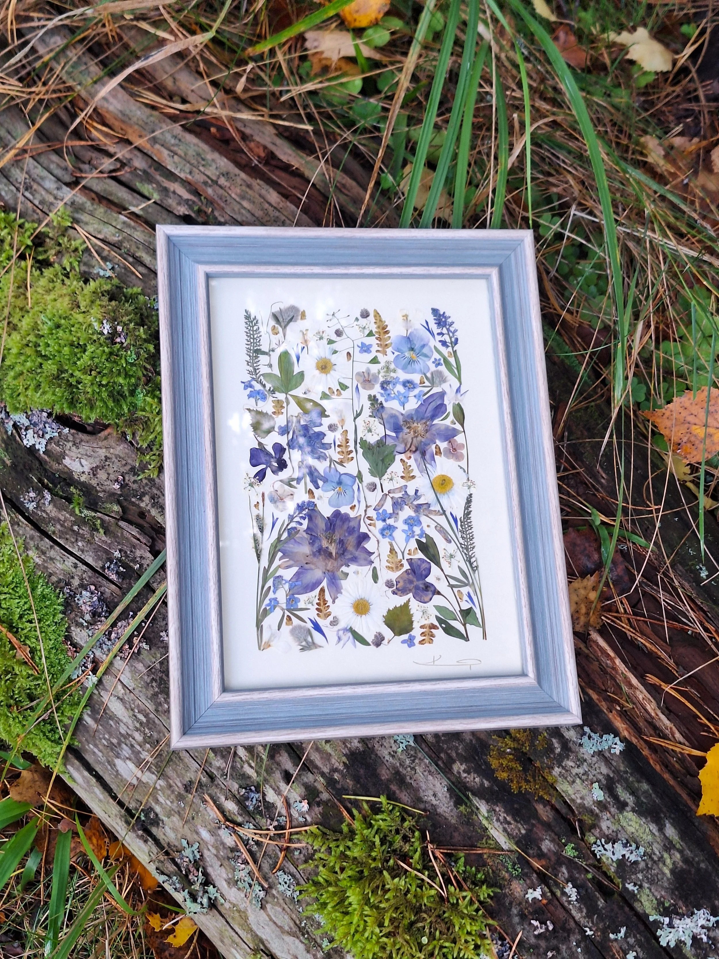 Angled view of an authentic pressed wildflower art frame by Kai Lillekaardid featuring a vertical arrangement of blue columbines, white daisies, and purple pansies in a light grey-blue wooden frame.
