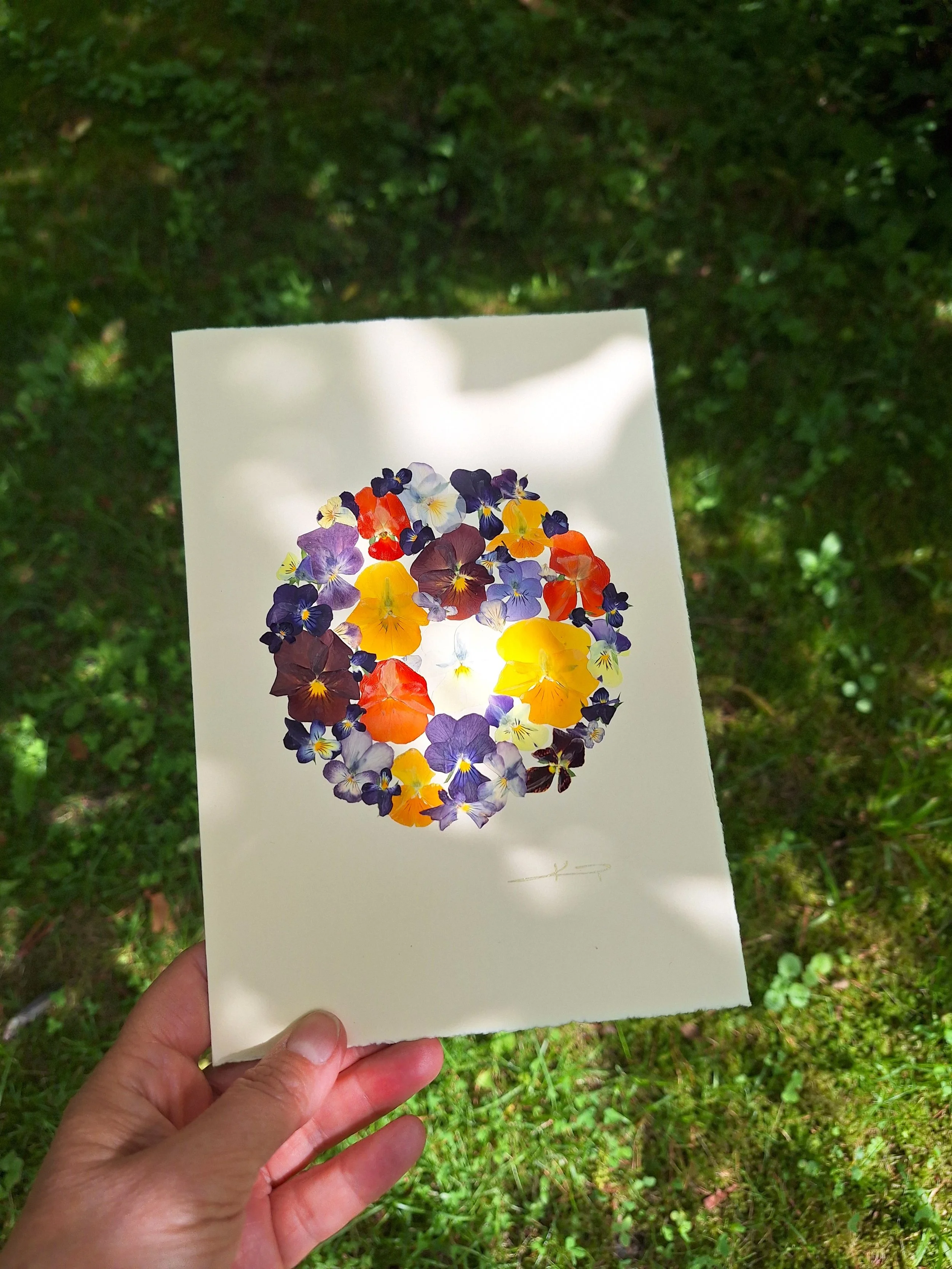 A colourful greeting card featuring a mix of authentic pressed pansies.