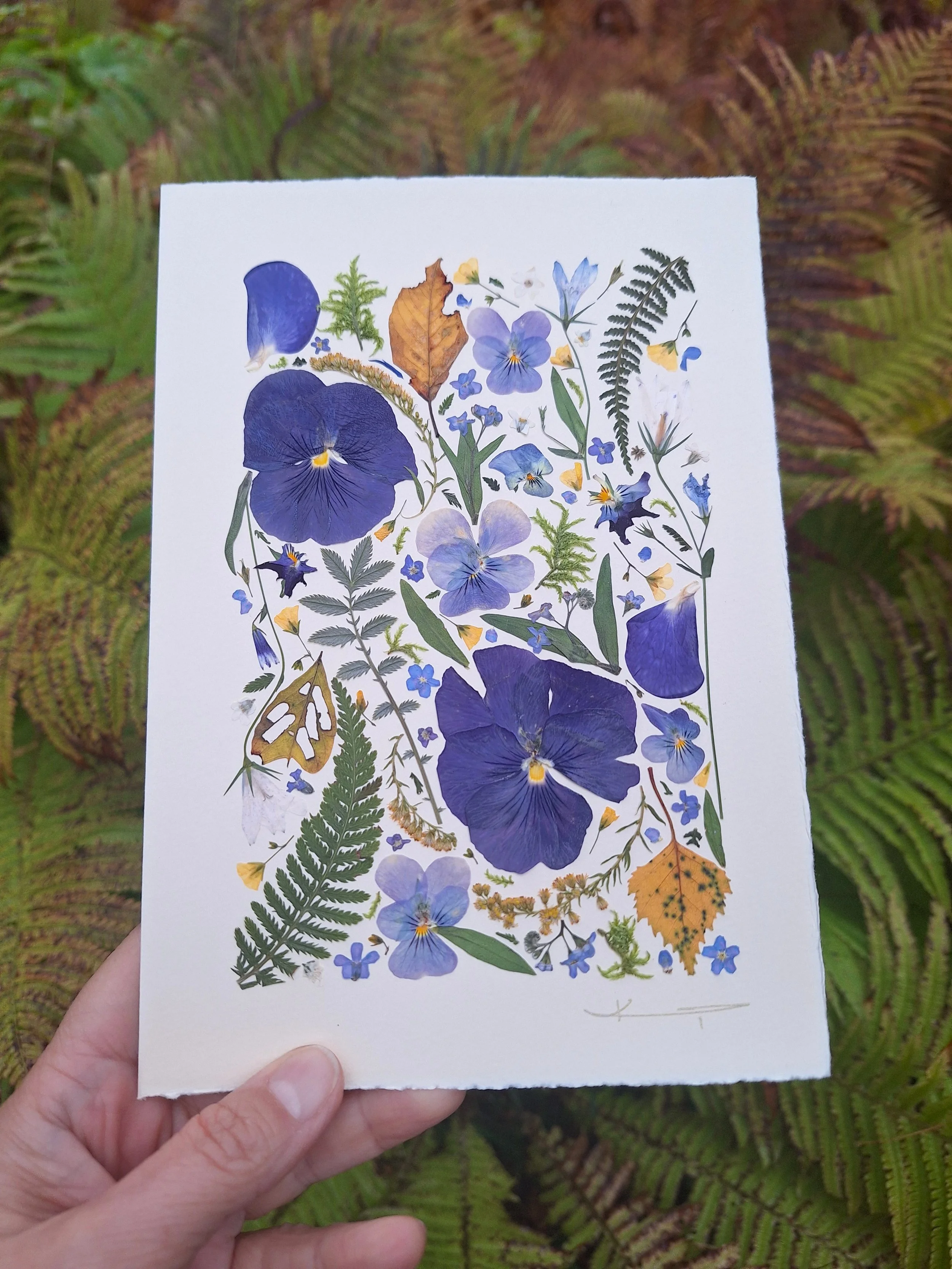 Kai Lillekaardid handmade seasonal greeting card titled The Indigo Equinox, featuring indigo pressed pansies, yellow autumn leaves, and green ferns displayed on a small wooden easel in nature.