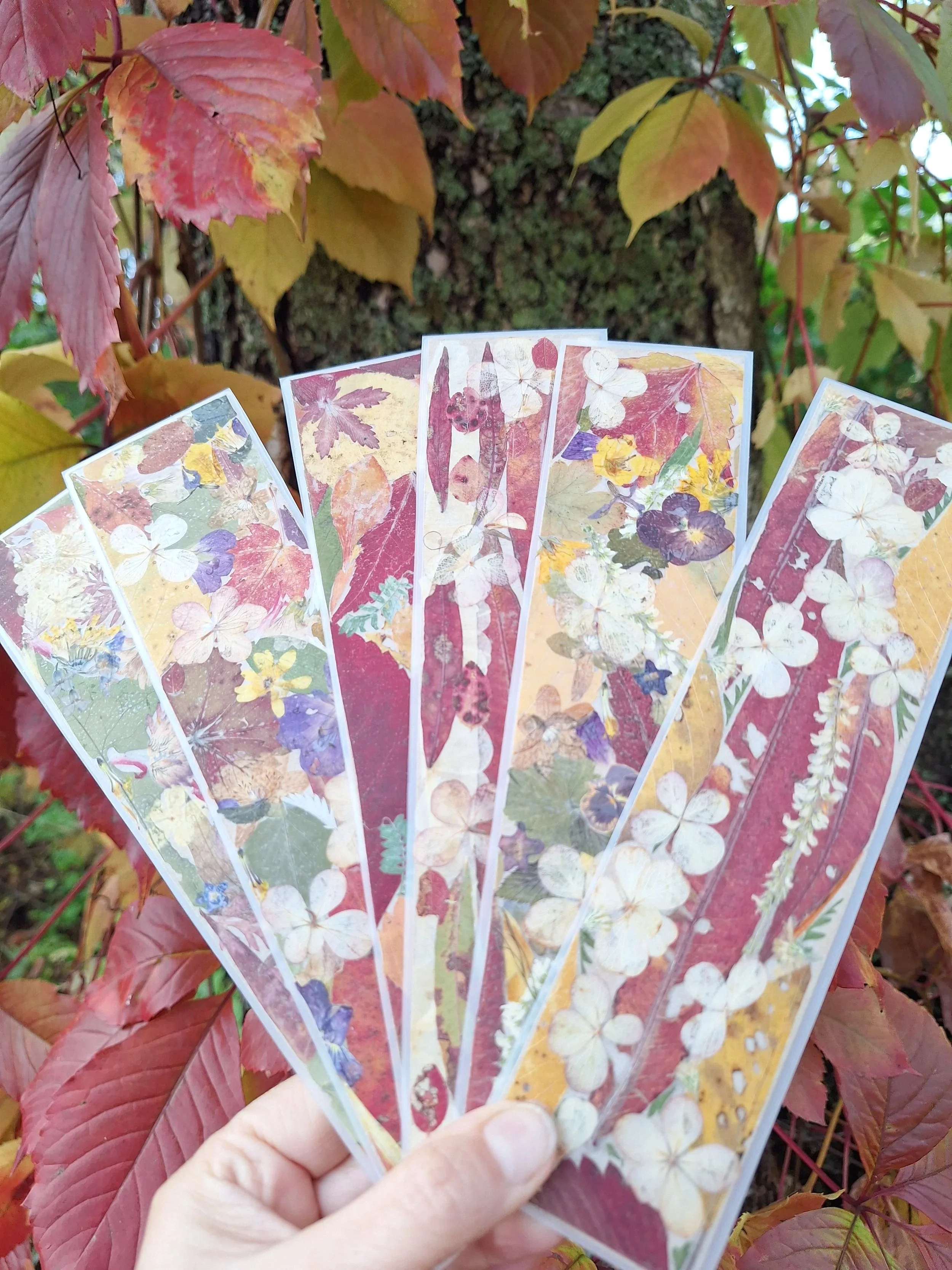 The Velvet Autumn Sonata Bookmark
