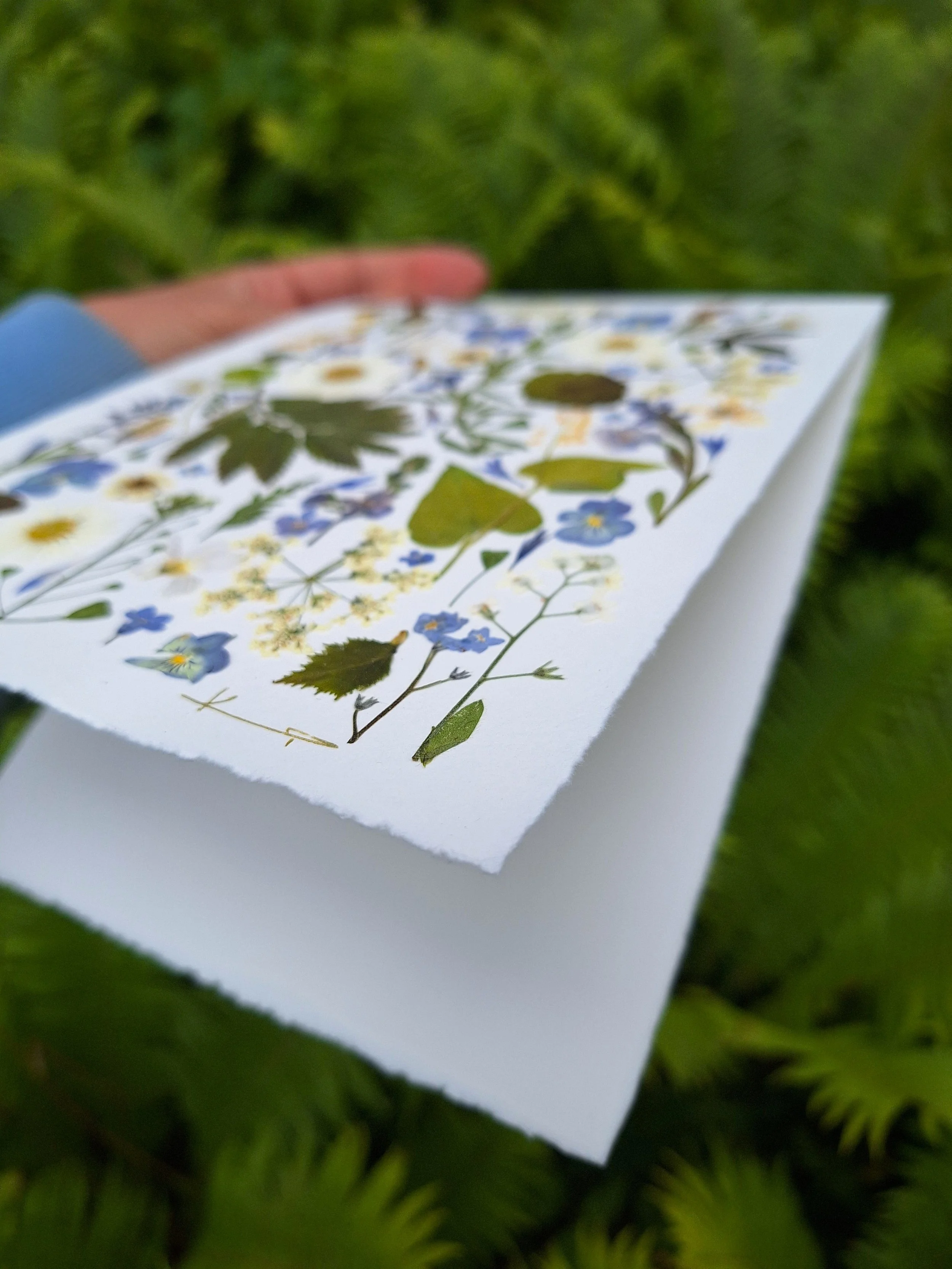 An elegant, minimalist handmade greeting card showcasing an organic arrangement of authentic pressed green delicate botanical leaves and light flowers.