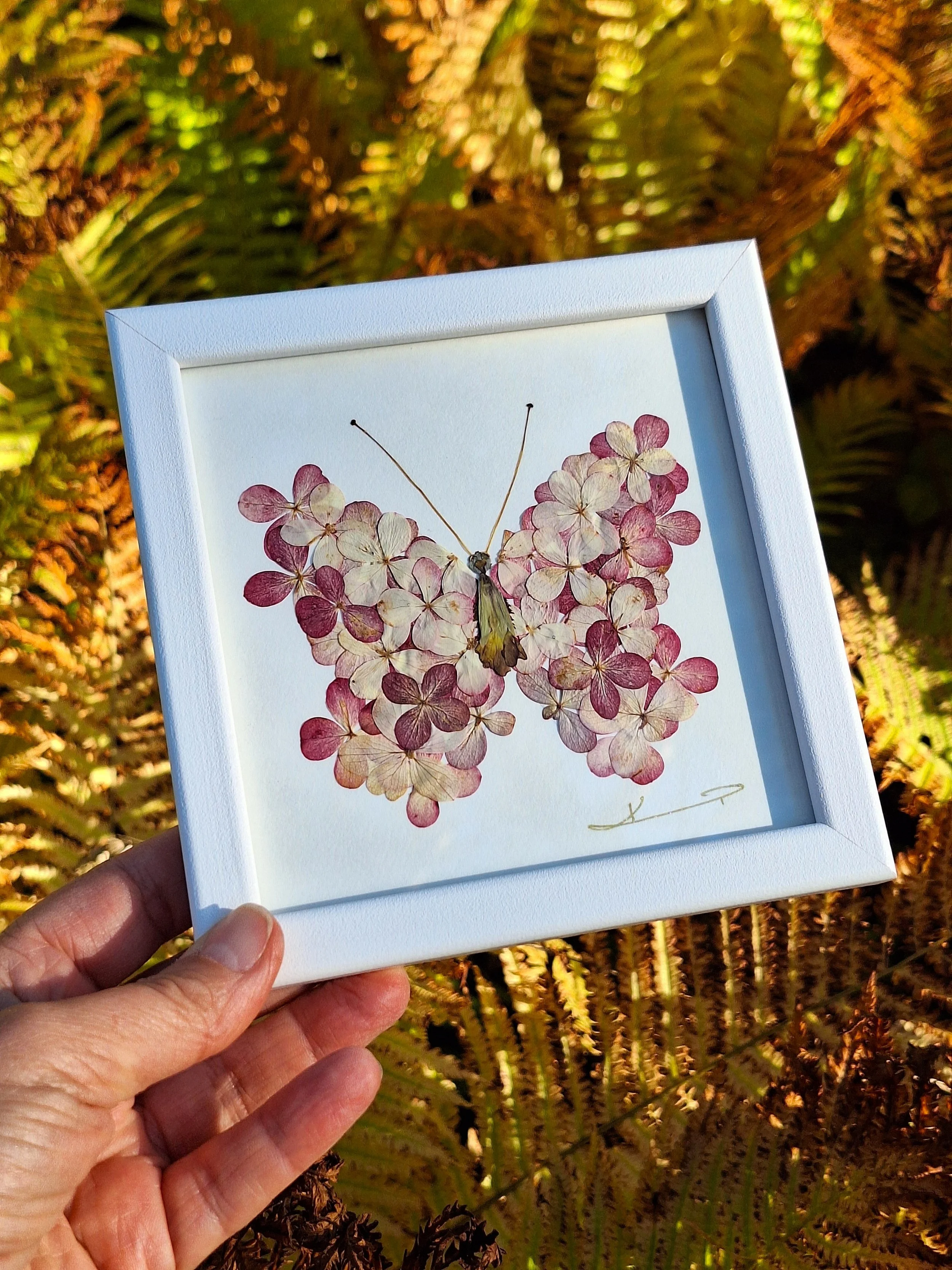 Kai Lillekaardid handmade botanical wall art showing a square white frame with a romantic butterfly mosaic made from real pressed mauve and pink hydrangea petals.