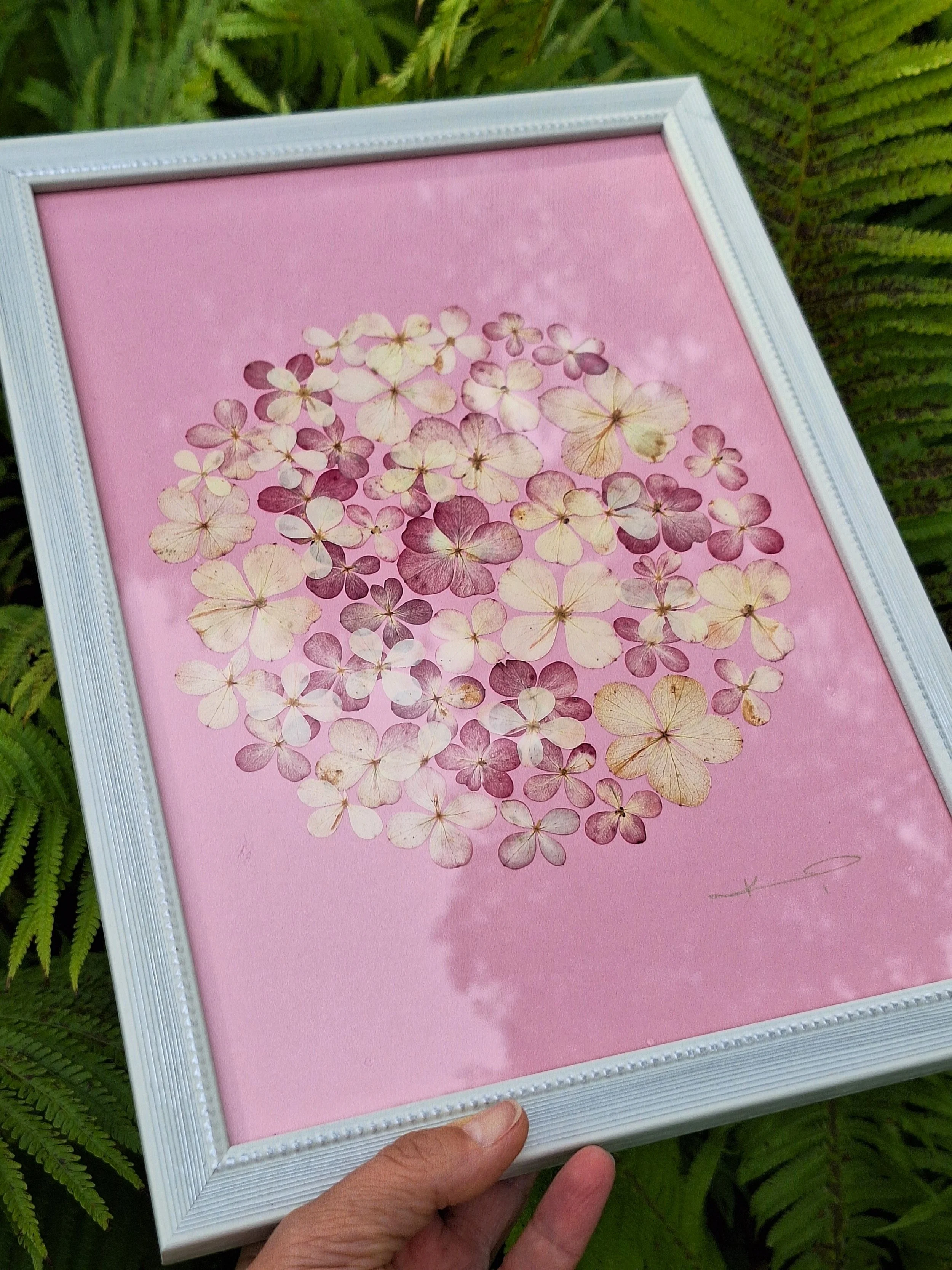 A light circle of real pressed hydrangea petals in deep purple, pink, and white tones centered on a soft pink background within a modern silver frame.