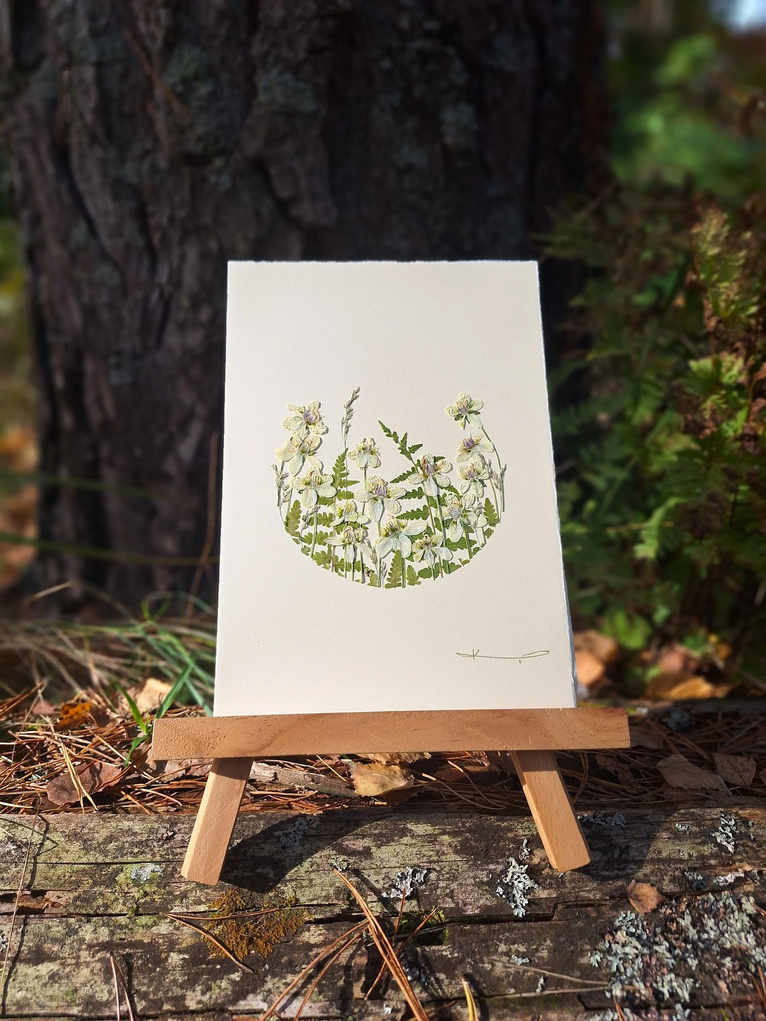 A crisp crescent layout of authentic pressed green ferns, meadow grasses, and delicate white wildflowers on a textured card by Kai Lillekaardid.