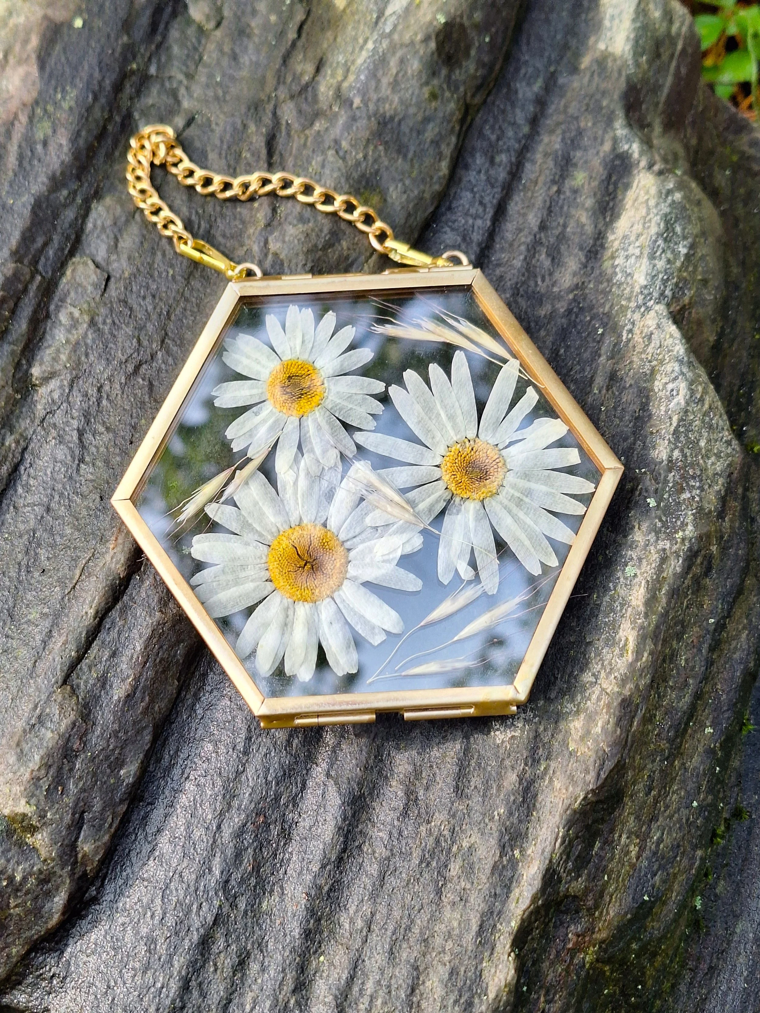A gold-trimmed hexagonal hanging double-glass frame with three authentic pressed white oxeye daisies with bright yellow centers are artfully arrange alongside delicate stalks of wild grass.