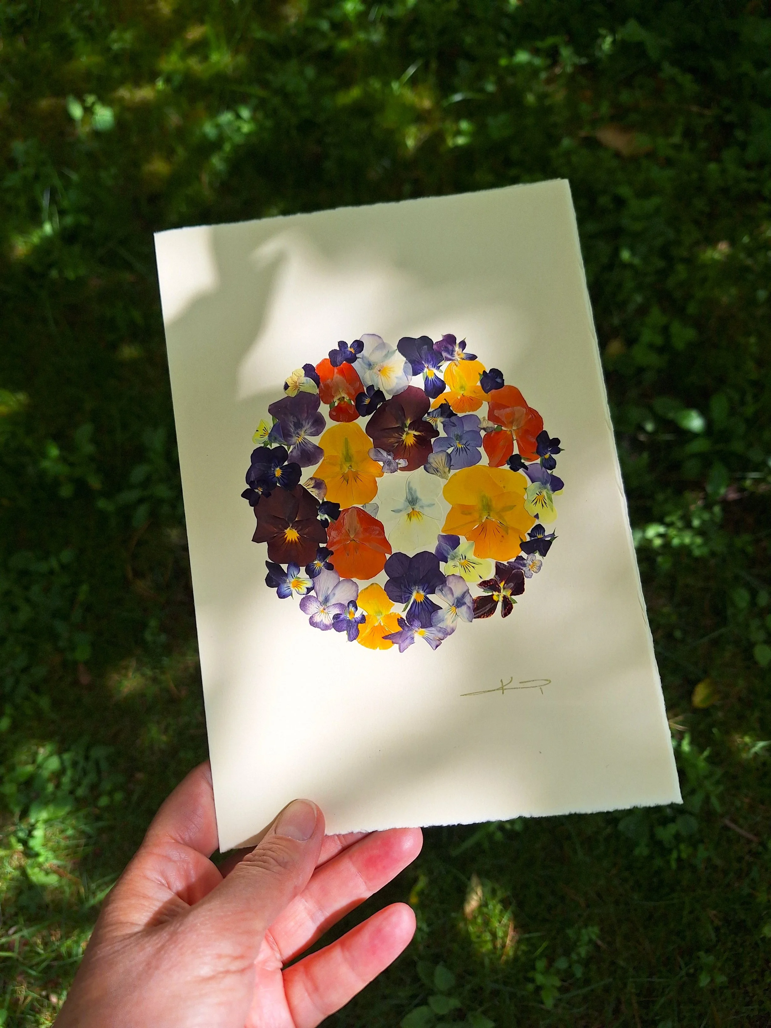 A colourful greeting card featuring a mix of authentic pressed pansies.