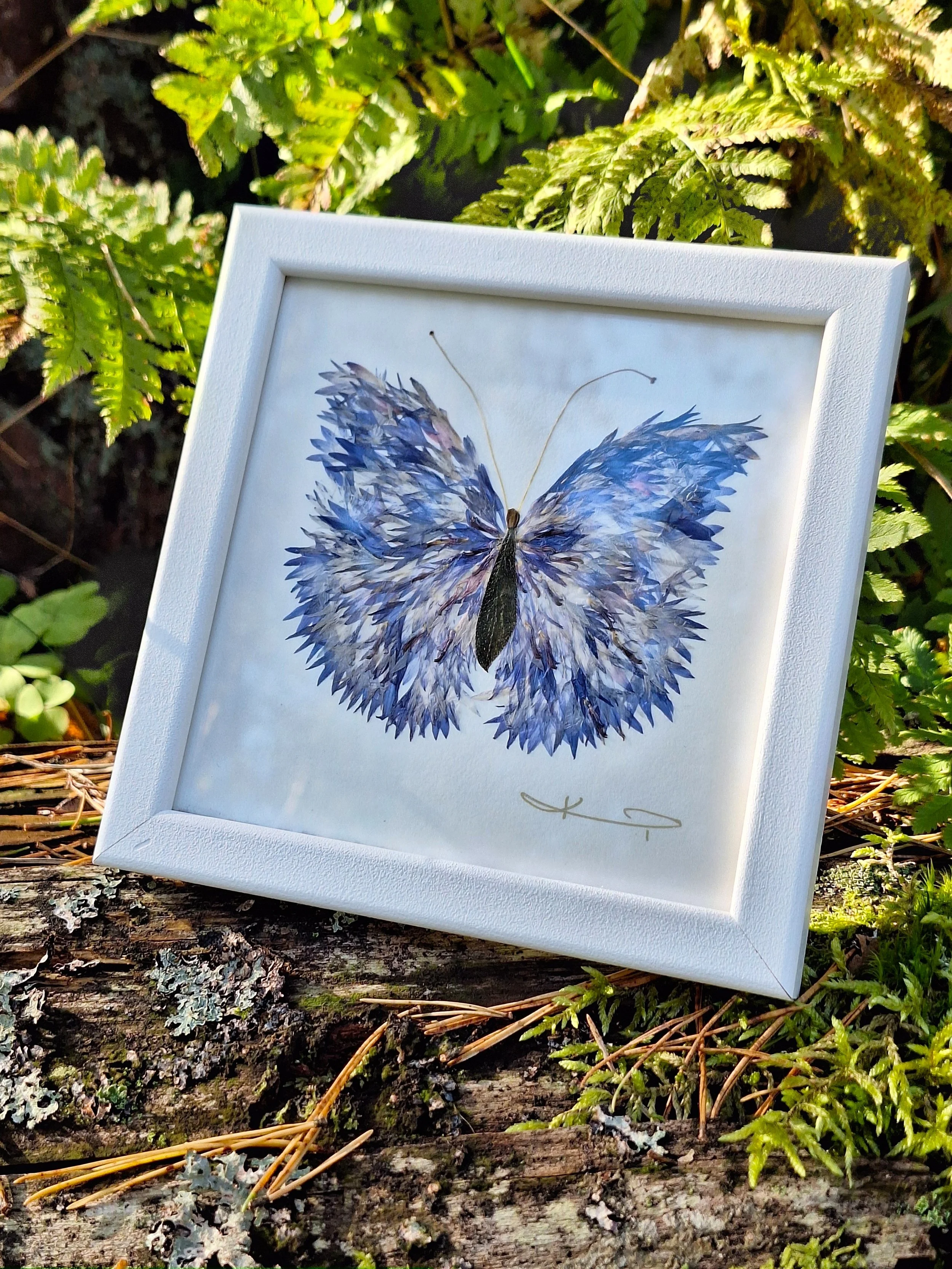 High-end pressed flower art by Kai Lillekaardid featuring a detailed blue butterfly wing mosaic made from authentic real petals, elegantly styled in a square white frame.
