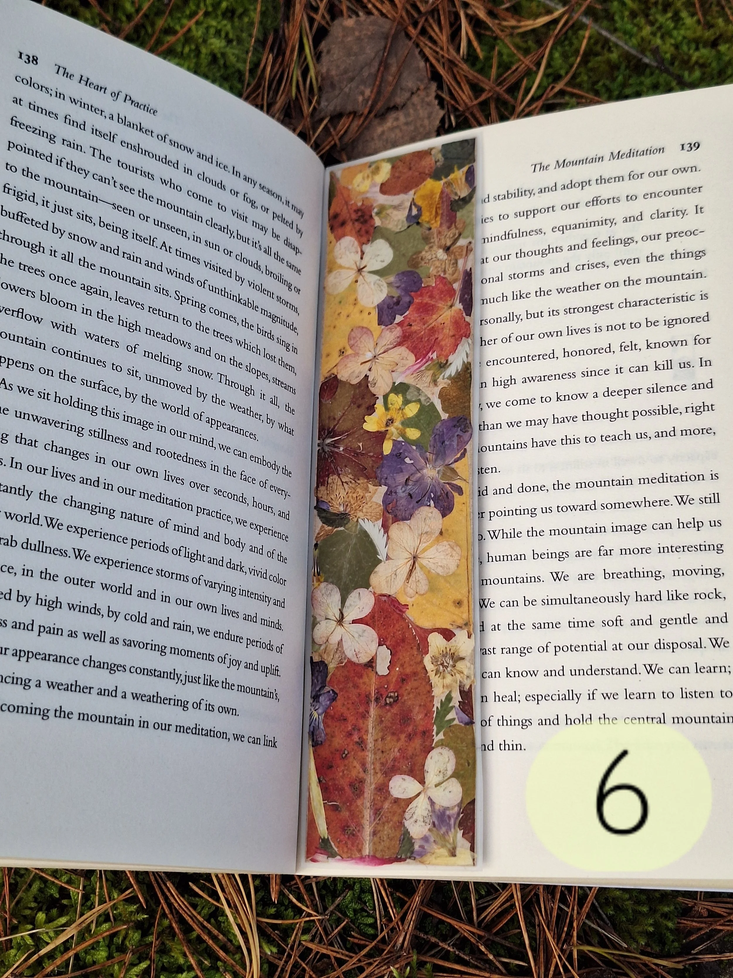 Premium Pressed Flower Bookmark | Matte Laminated Autumn Art
