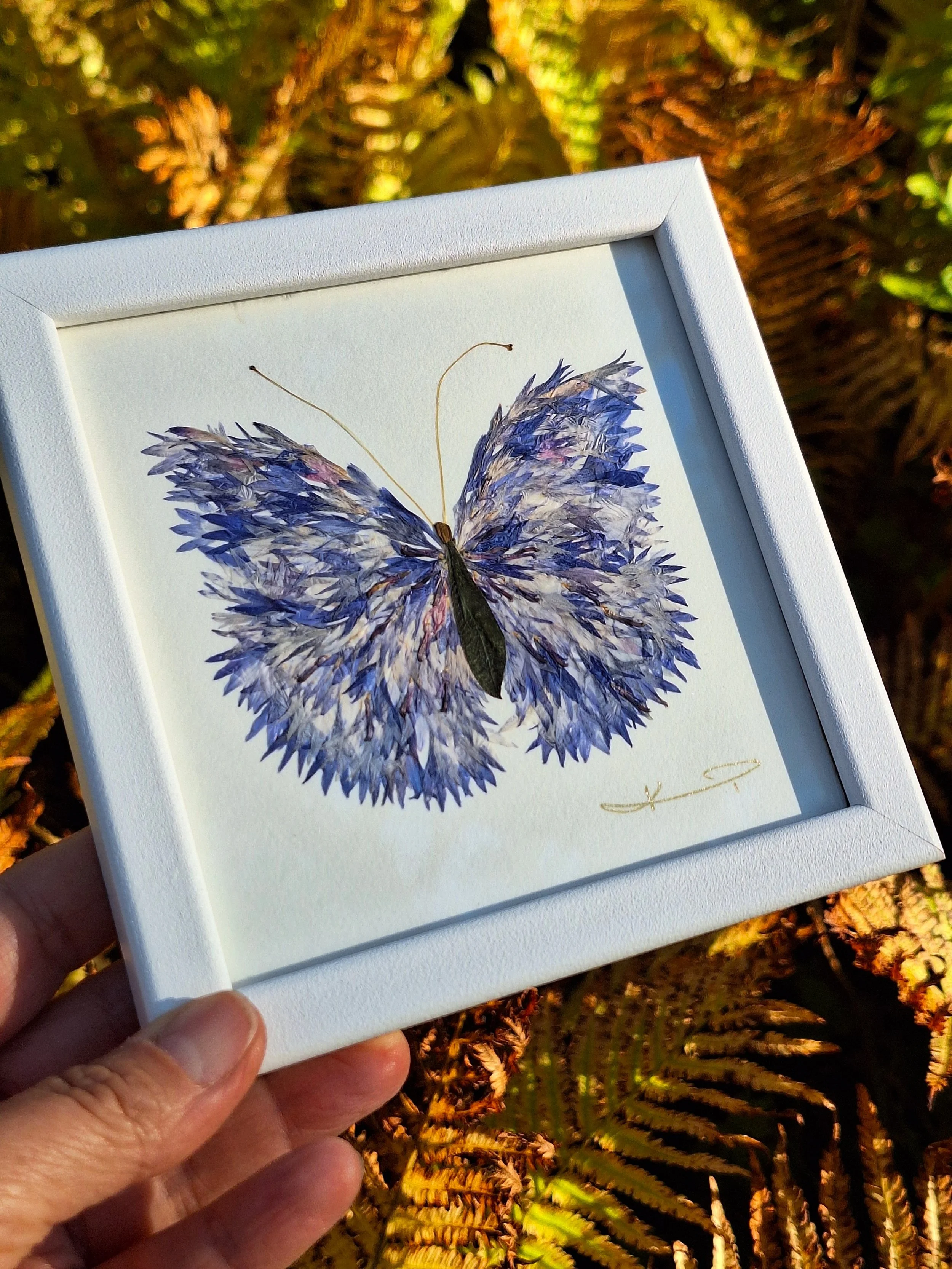 High-end pressed flower art by Kai Lillekaardid featuring a detailed blue butterfly wing mosaic made from authentic real petals, elegantly styled in a square white frame.