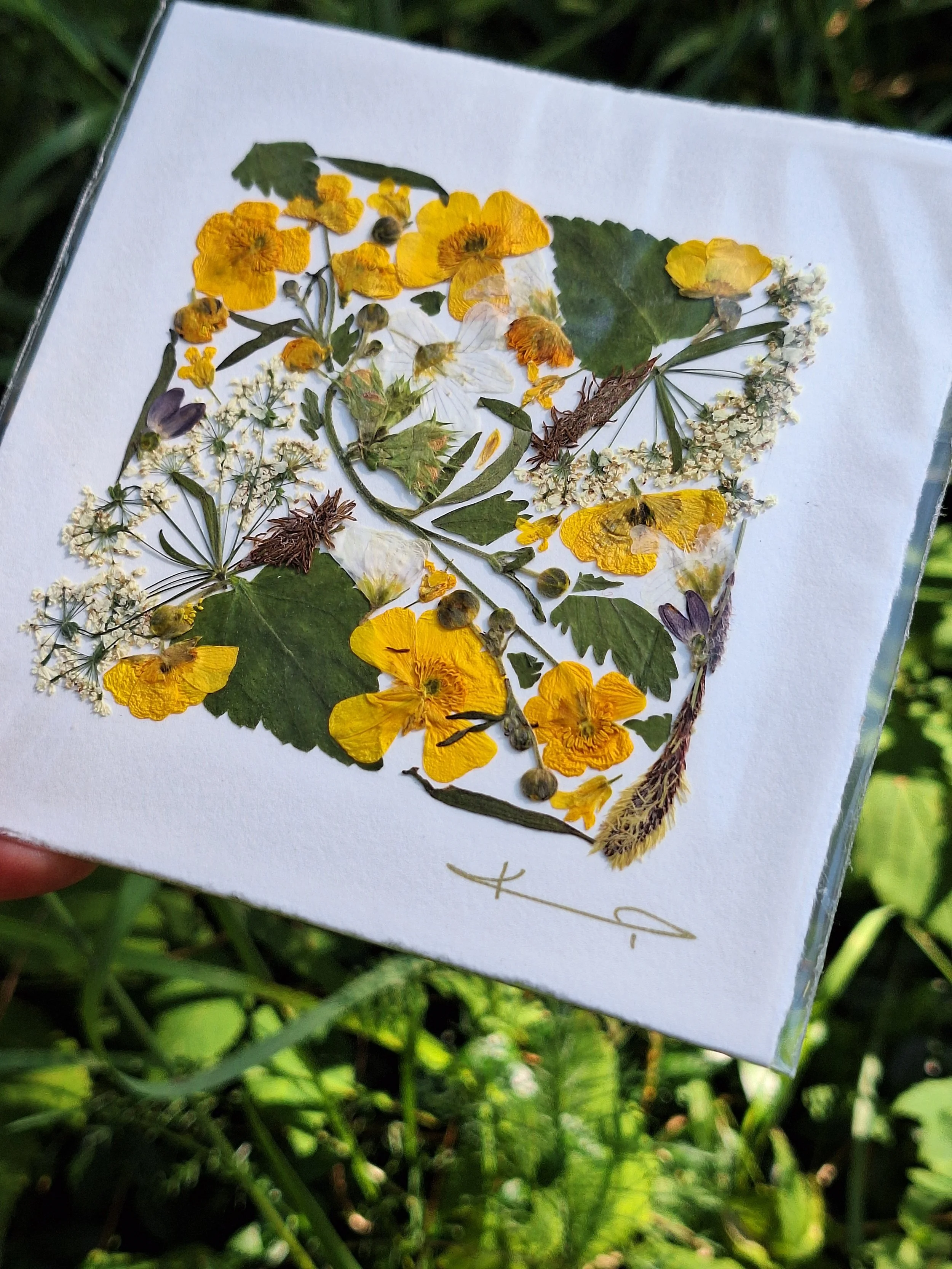 Handmade small square card featuring authentic yellow buttercups on a handmade paper.
