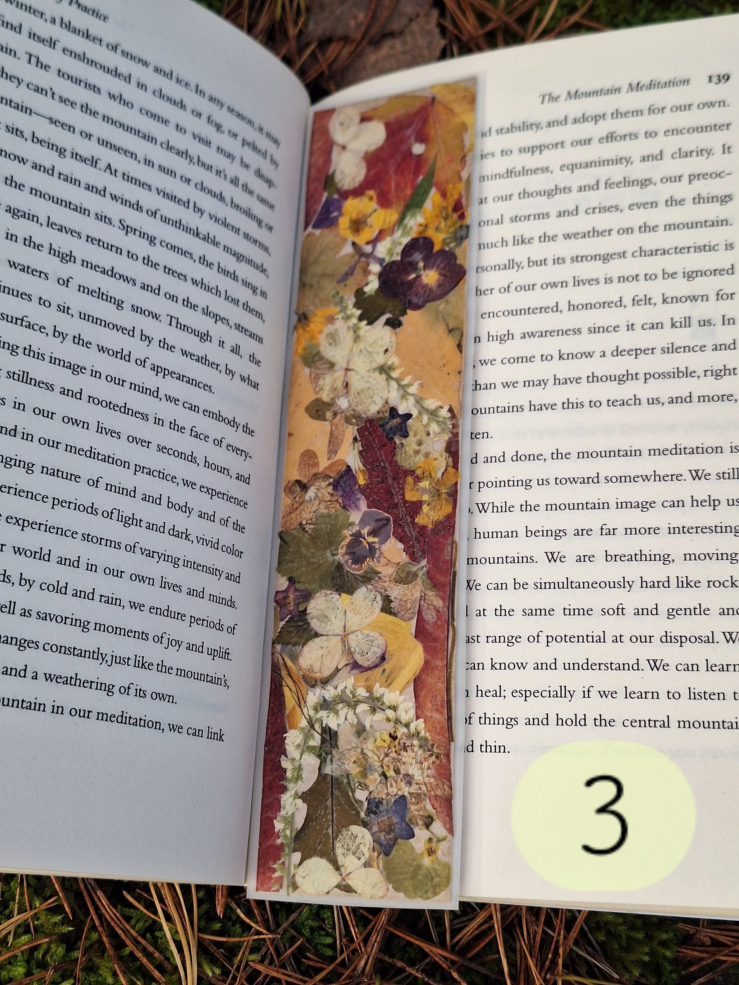 Premium Pressed Flower Bookmark | Matte Laminated Autumn Art