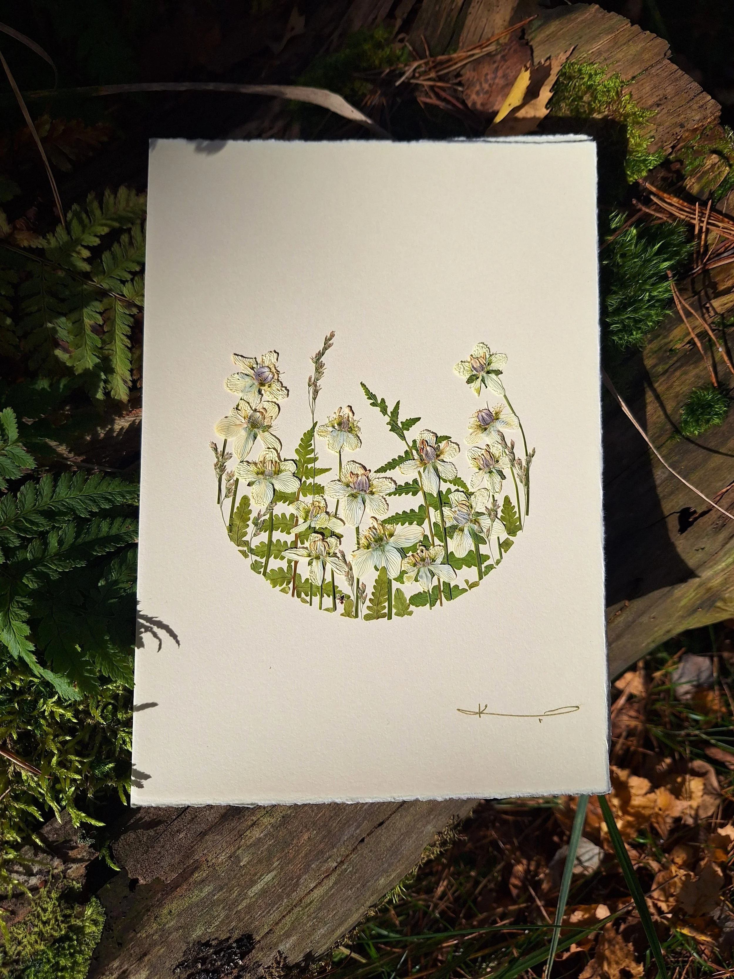 • A crisp crescent layout of authentic pressed green ferns, meadow grasses, and delicate white wildflowers on a textured card by Kai Lillekaardid.