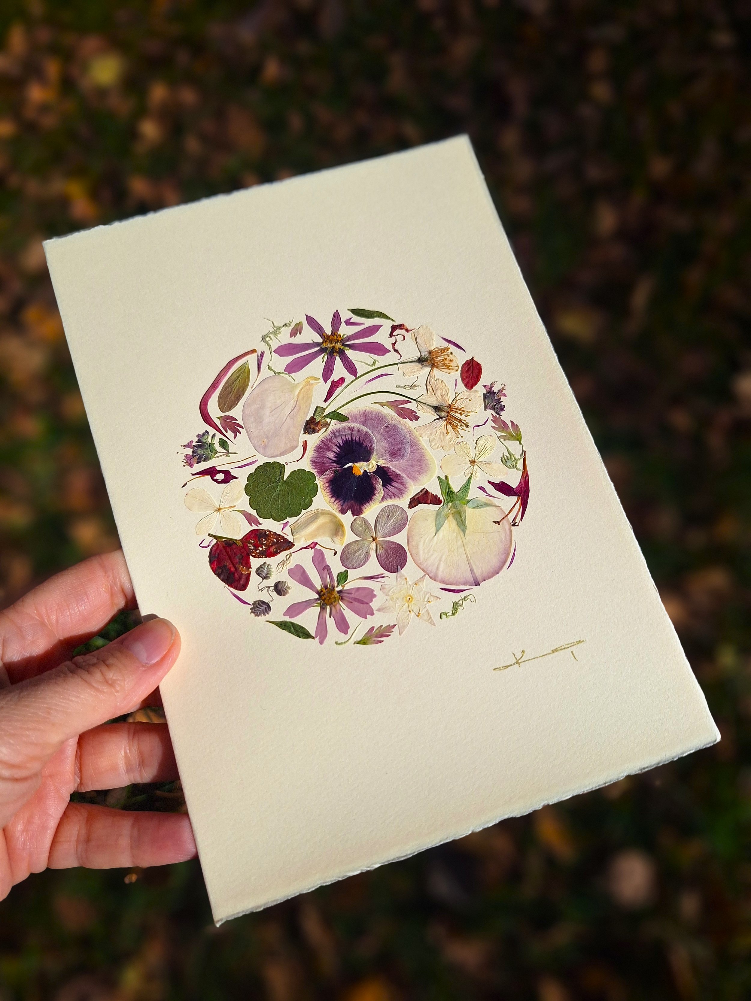 A perfect circle mandala layout of authentic pressed purple pansies and mixed lilac petals on handmade cardstock held outdoors.