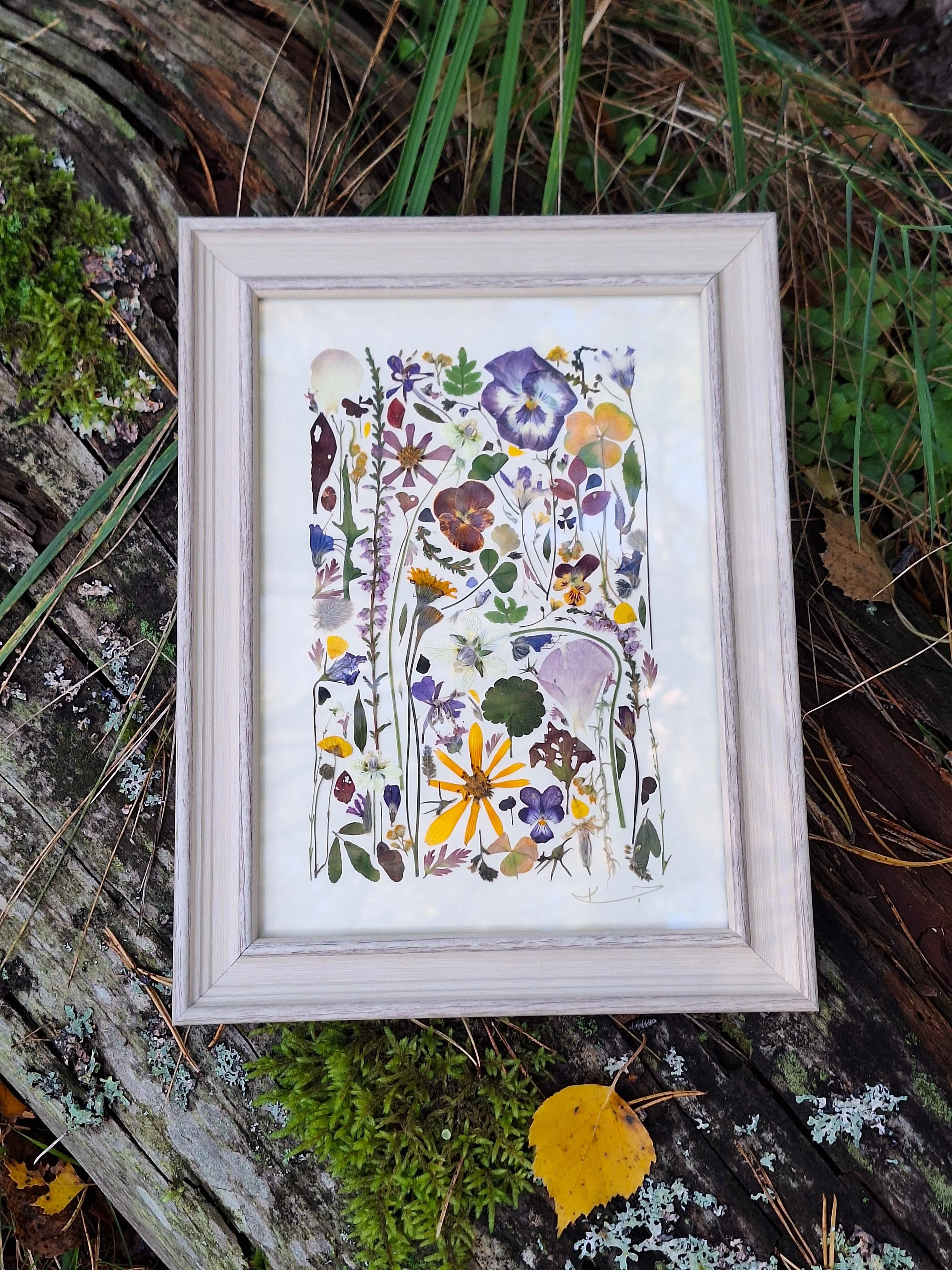 The Secret Garden