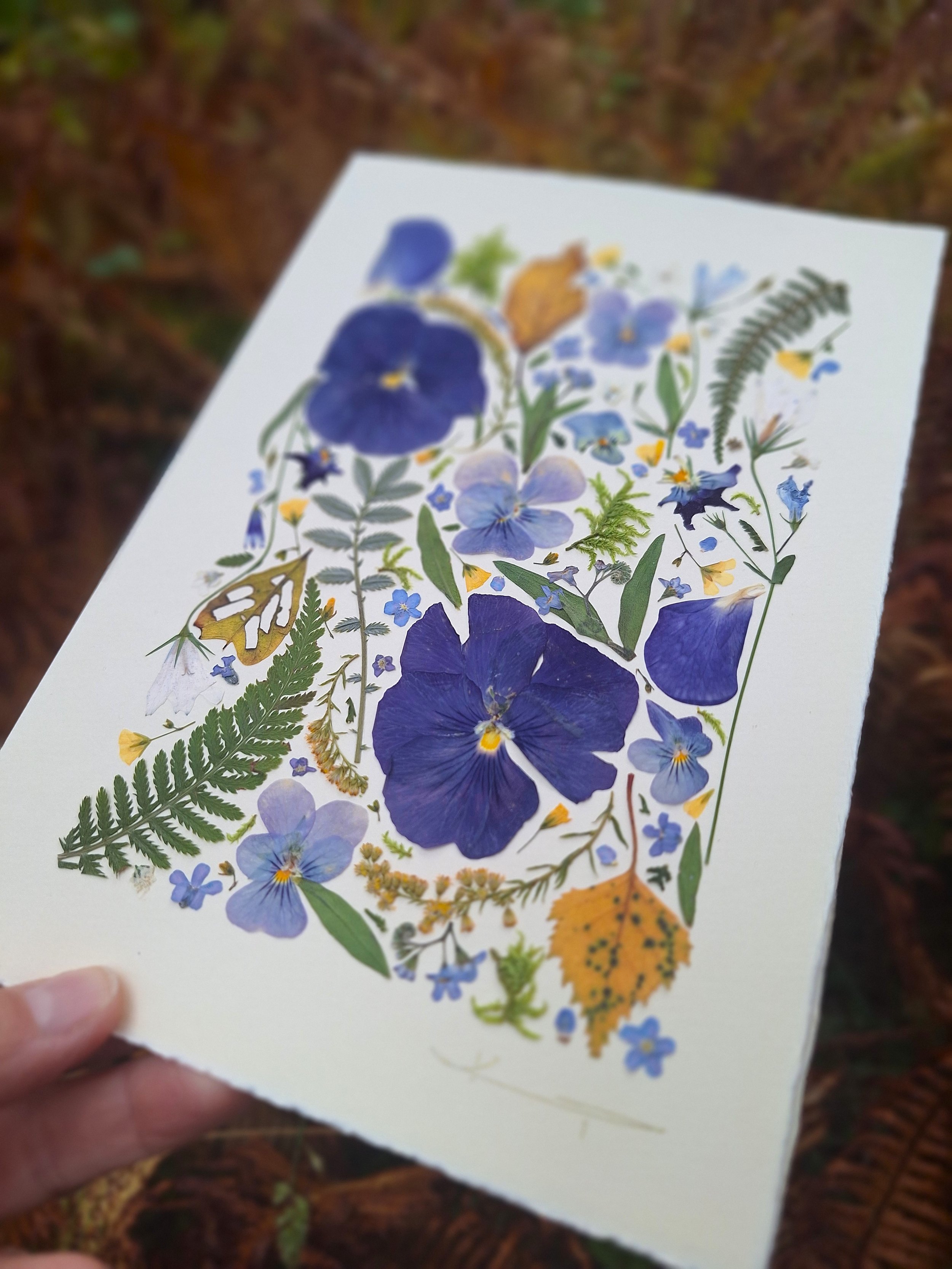 Kai Lillekaardid handmade seasonal greeting card titled The Indigo Equinox, featuring indigo pressed pansies, yellow autumn leaves, and green ferns displayed on a small wooden easel in nature.