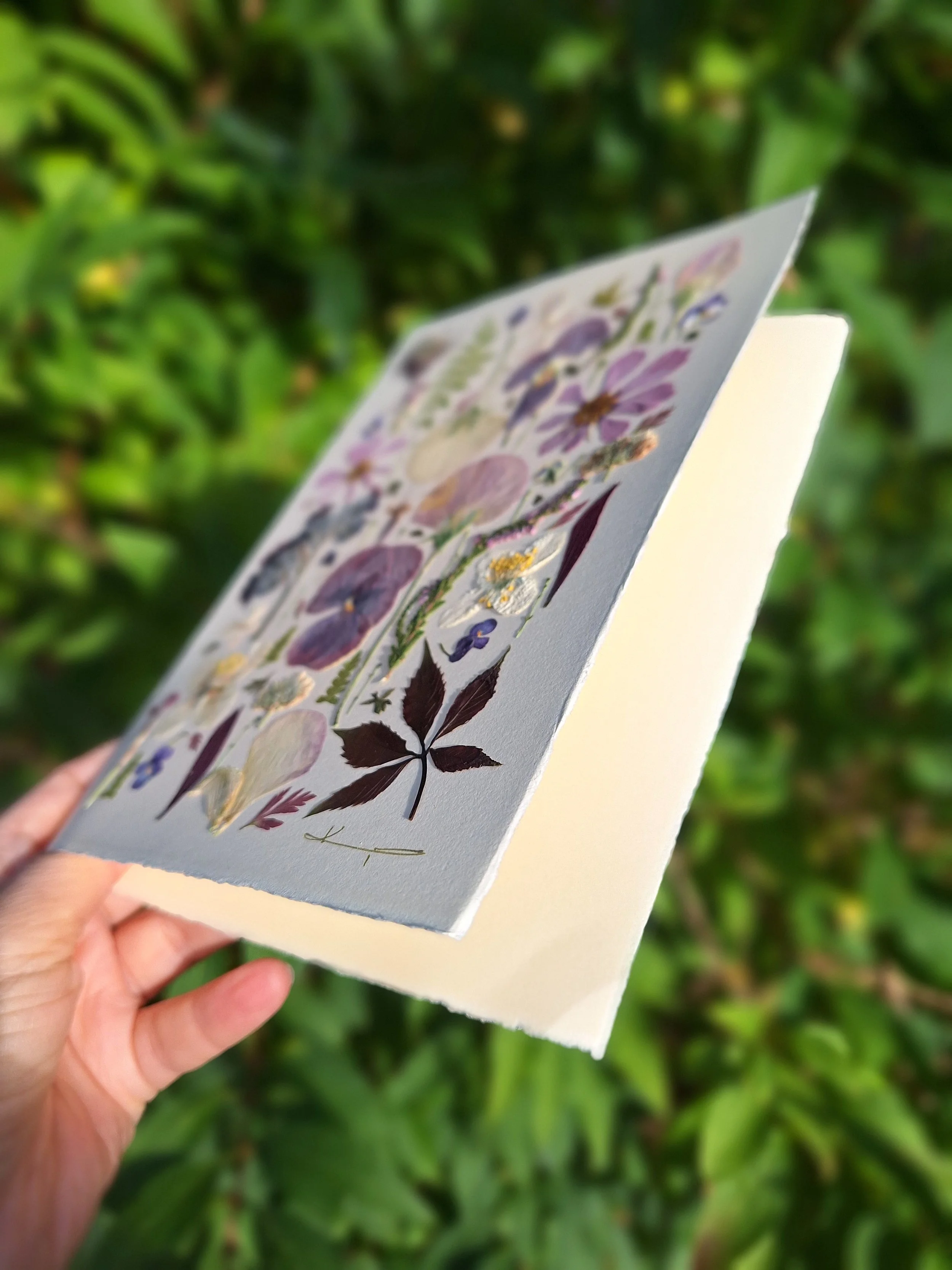 A high-contrast full-page botanical arrangement of authentic pressed deep purple pansies, pink accents, and burgundy autumn foliage on textured white paper by Kai Lillekaardid.