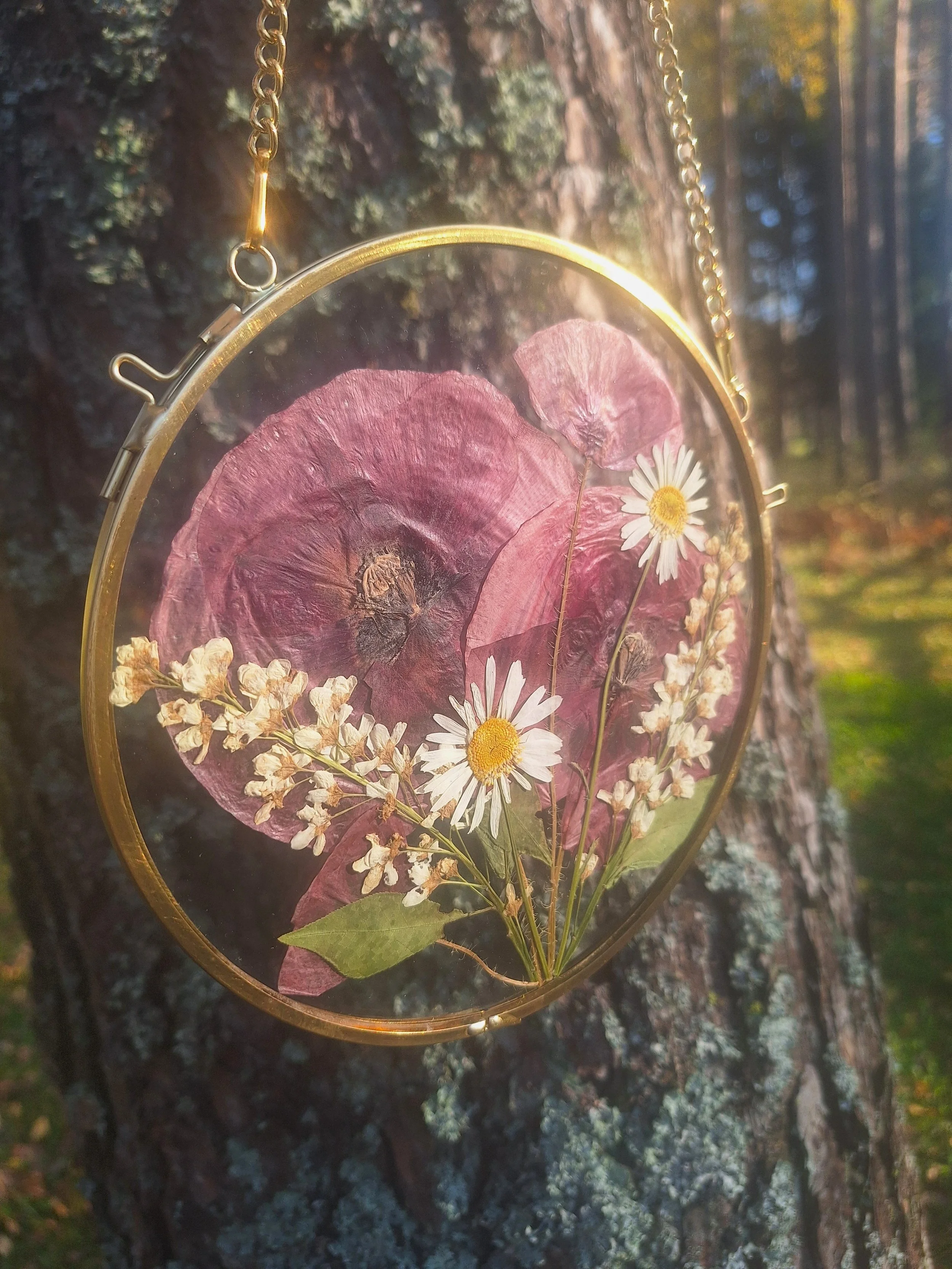 Circular gold double glass hanging frame with authentic pressed burgundy poppies and wild daisies handmade by Kai Lillekaardid.