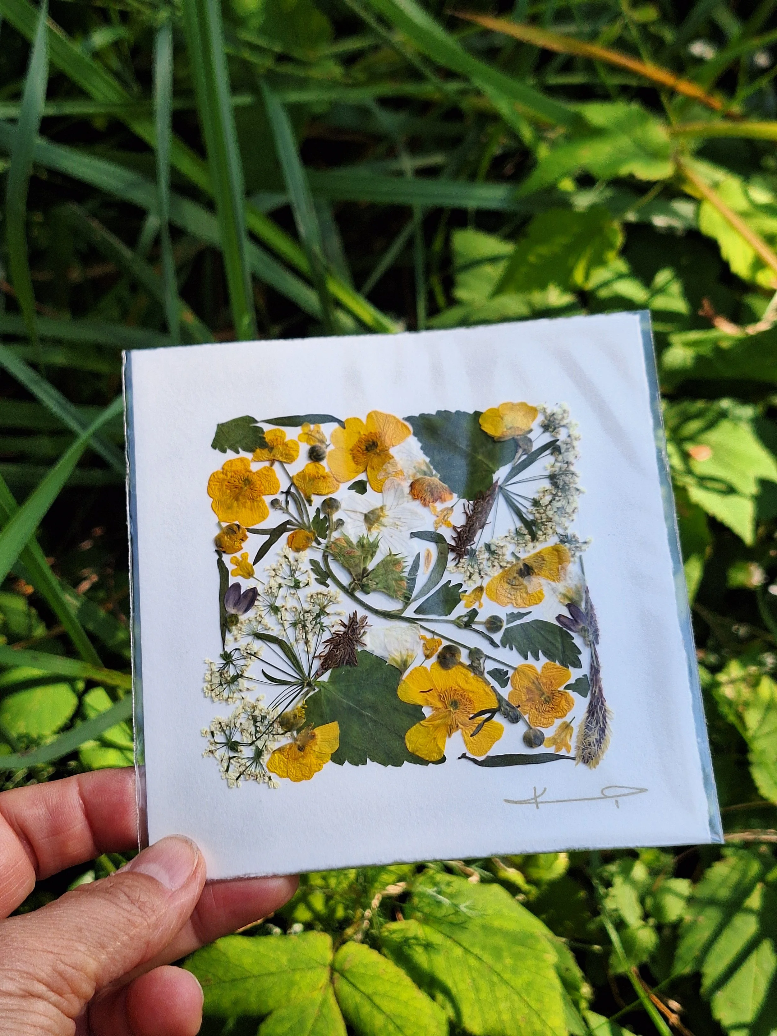 Handmade small square card featuring authentic yellow buttercups on a handmade paper.