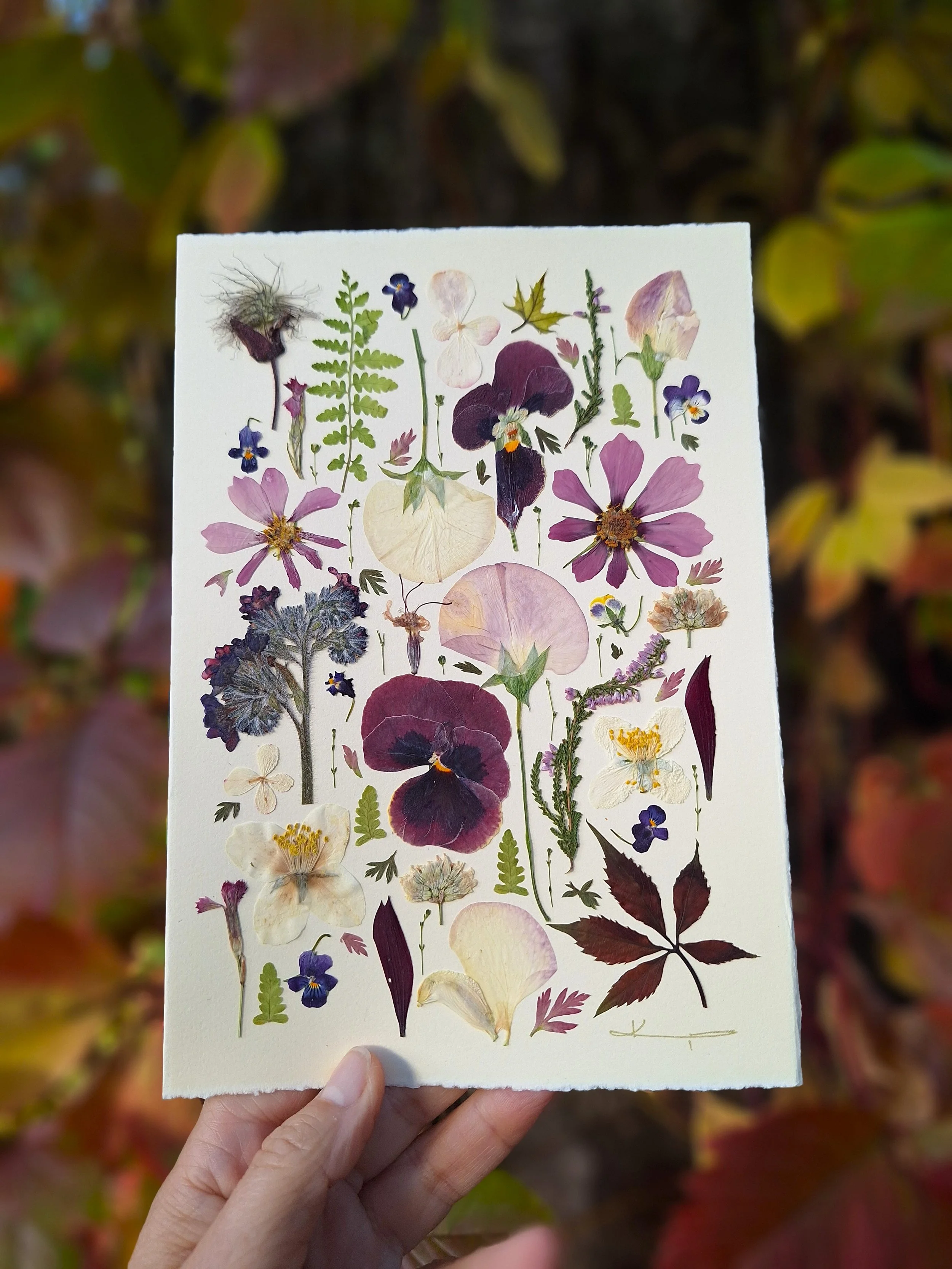 Purple Autumn Sonata