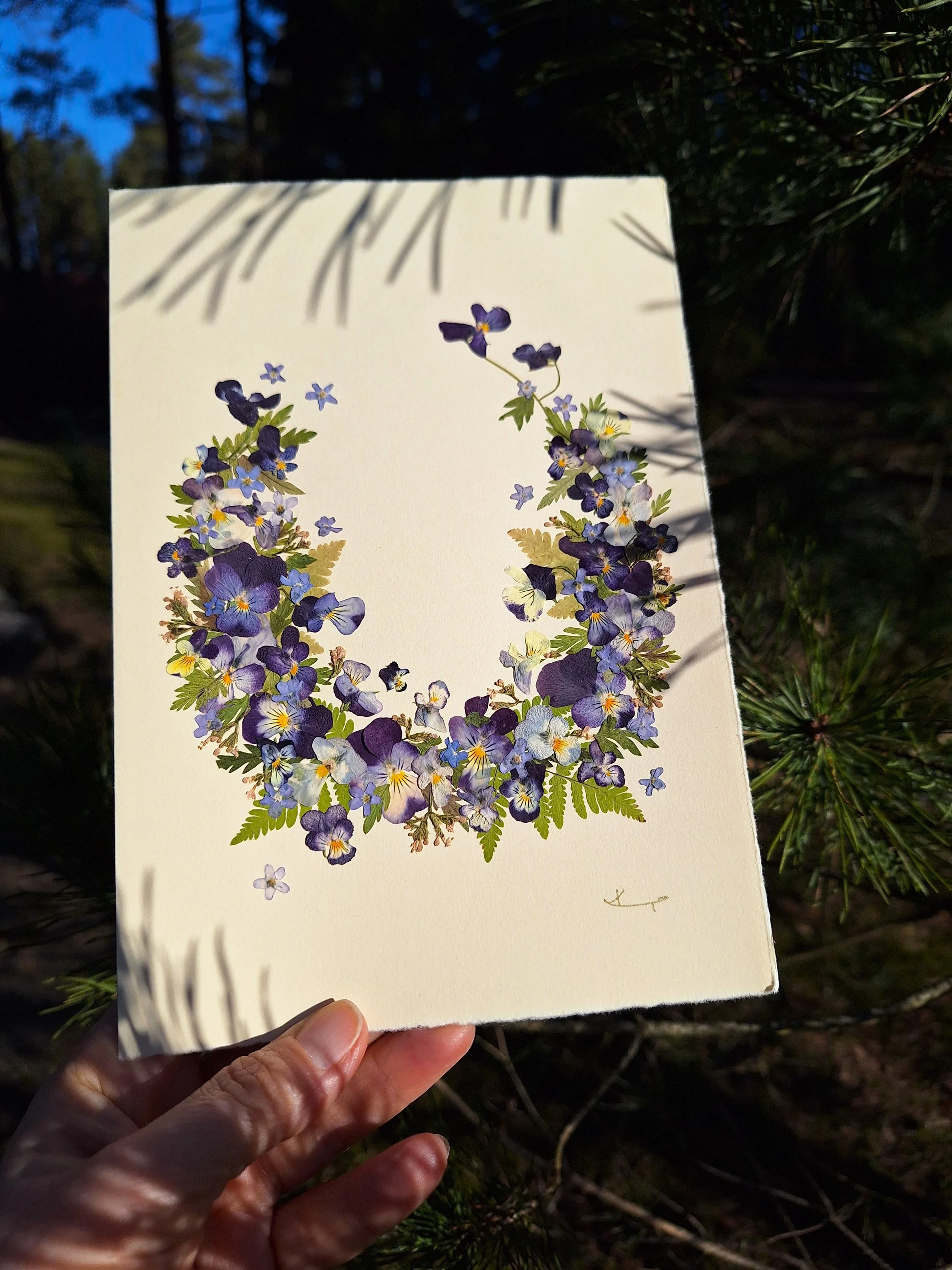 Cheerful world of pansies
