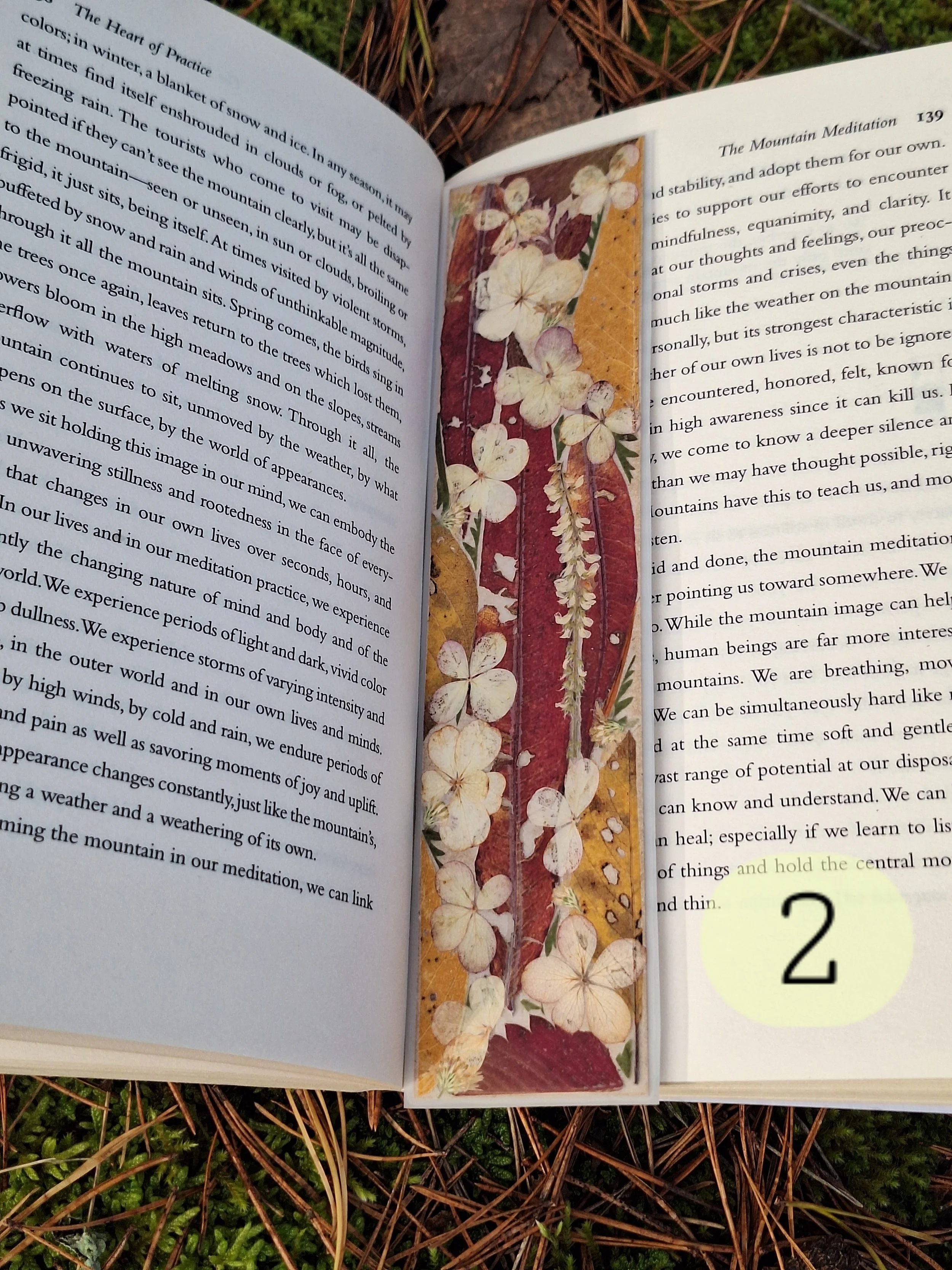 Premium Pressed Flower Bookmark | Matte Laminated Autumn Art