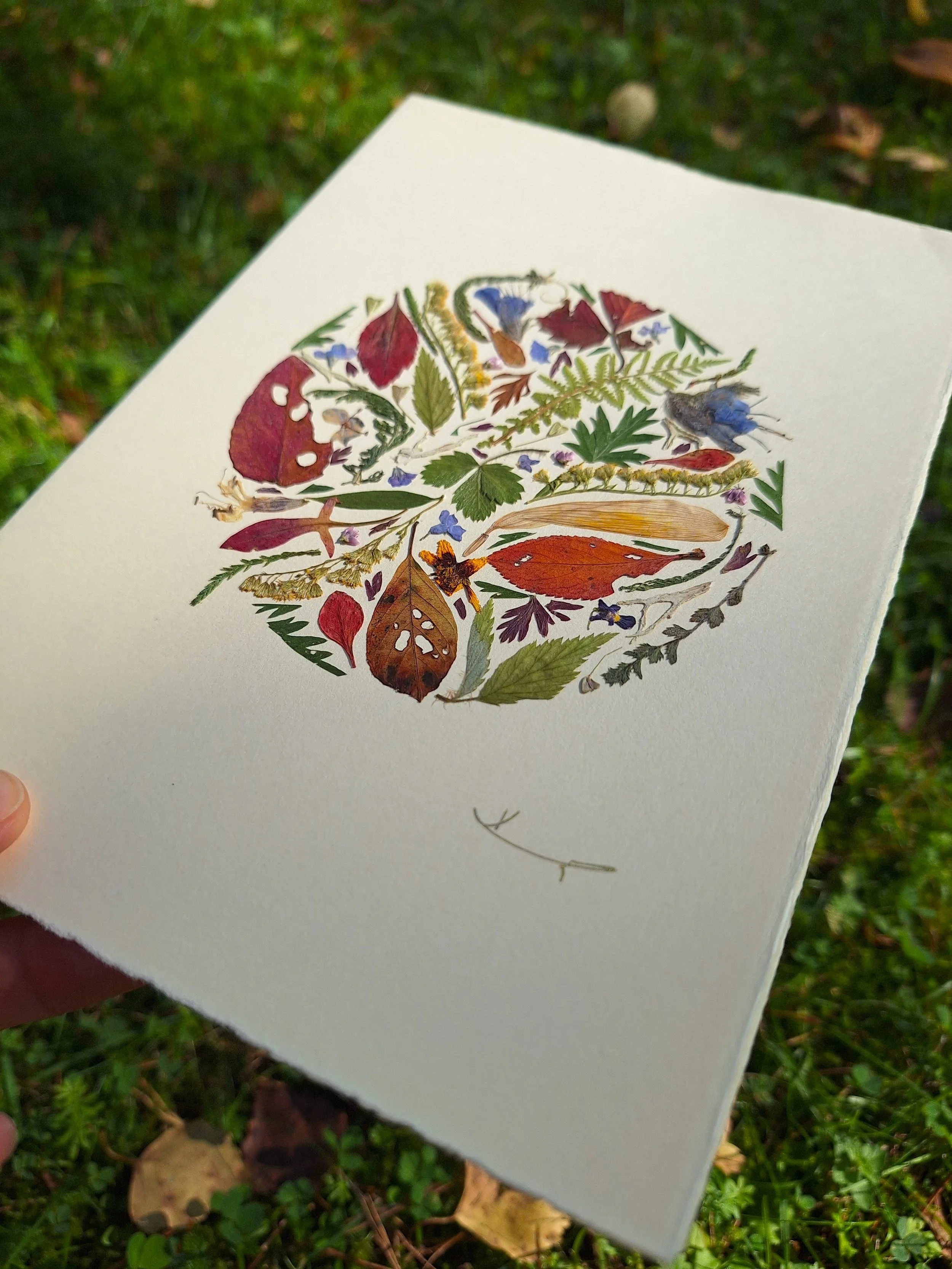 Side angle view of an authentic pressed leaf greeting card by Kai Lillekaardid showing an intricate circular arrangement of autumn ferns, green leaves, and brown foliage on handmade paper.