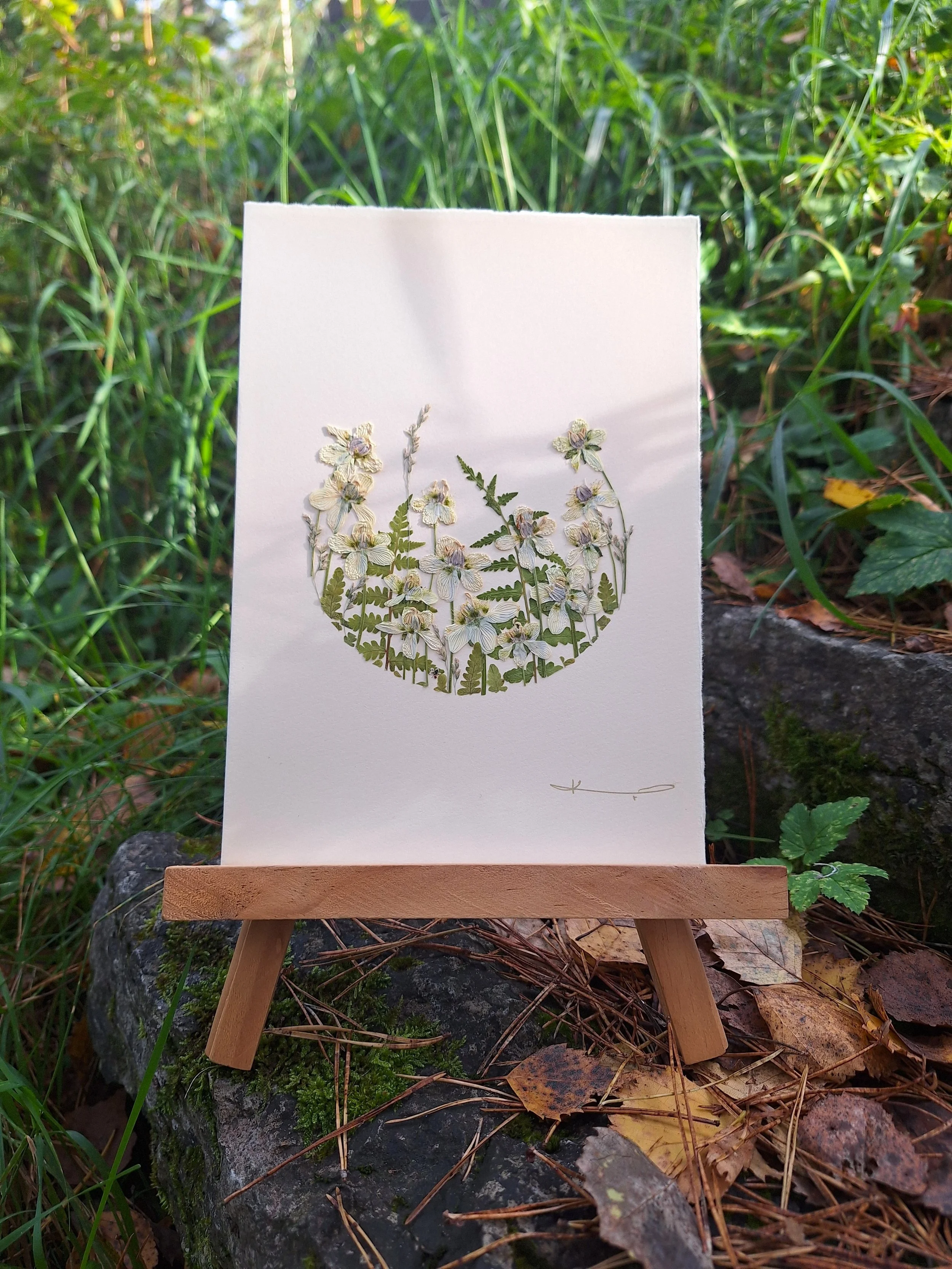 A crisp crescent layout of authentic pressed green ferns, meadow grasses, and delicate white wildflowers on a textured card by Kai Lillekaardid.