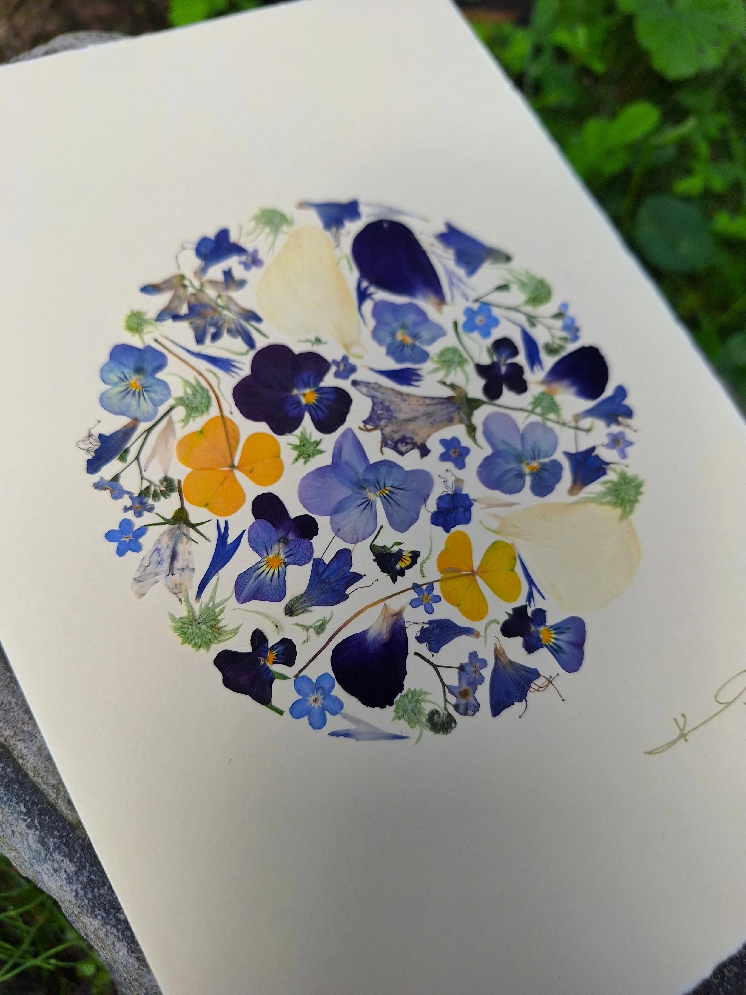 Close-up of a handmade greeting card by Kai Lillekaardid showcasing a circular pressed flower mosaic with light blue flowers, midnight violet petals, and yellow accents on premium cream paper.
