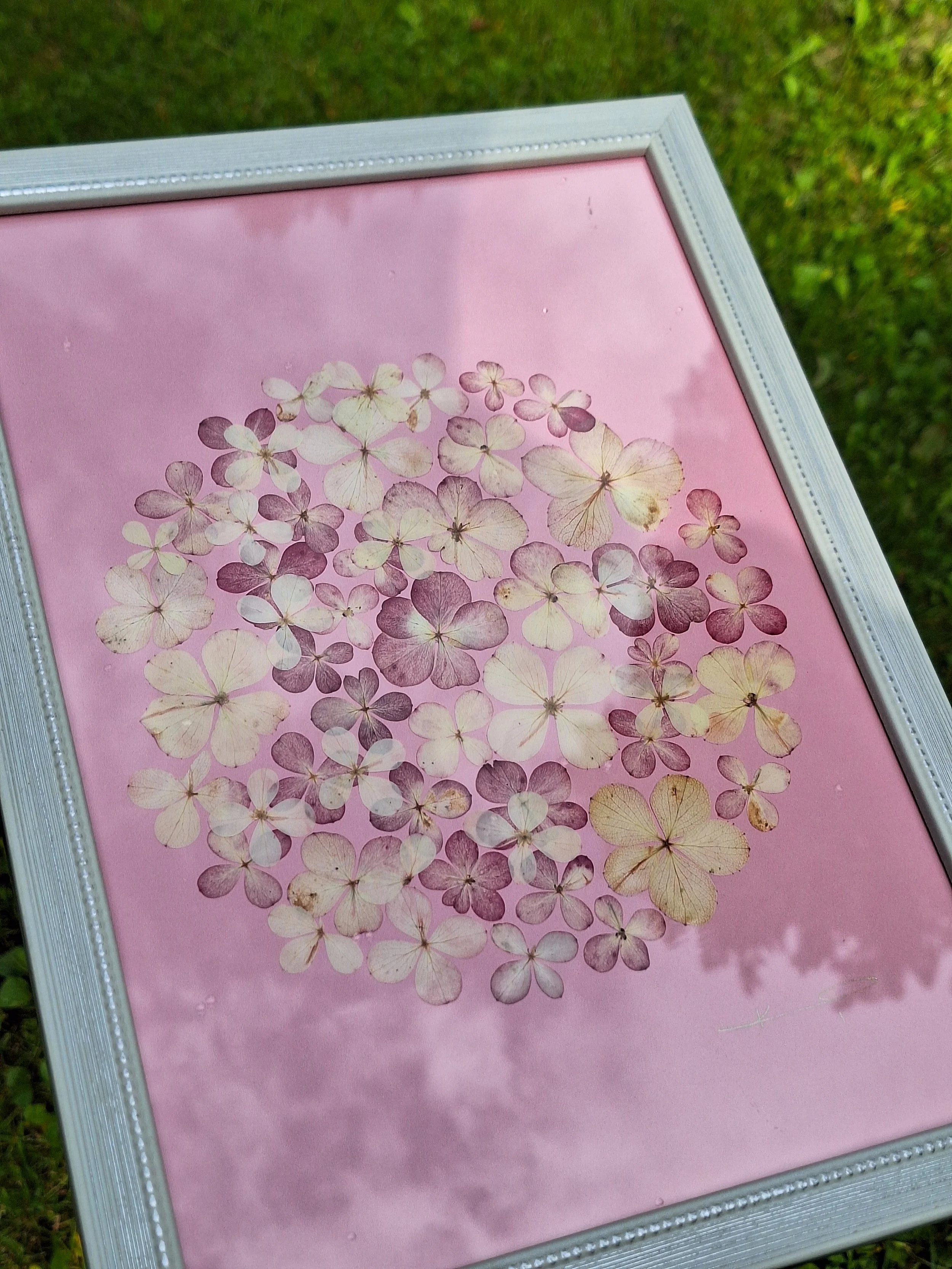 A light circle of real pressed hydrangea petals in deep purple, pink, and white tones centered on a soft pink background within a modern silver frame.