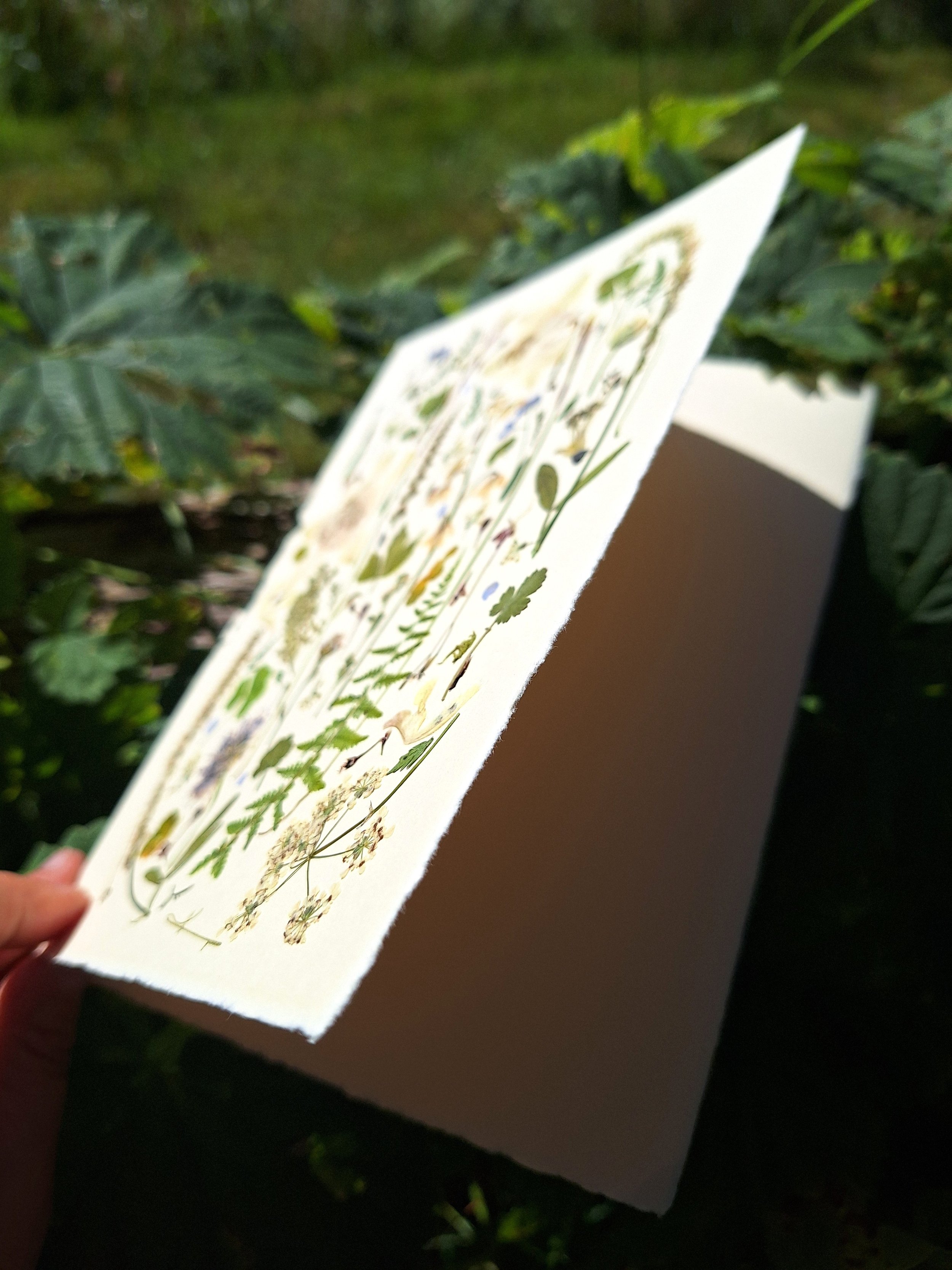 This card features an orderly, specimen-like presentation of white flowers, leaves, clovers and stems, like a real herbarium.