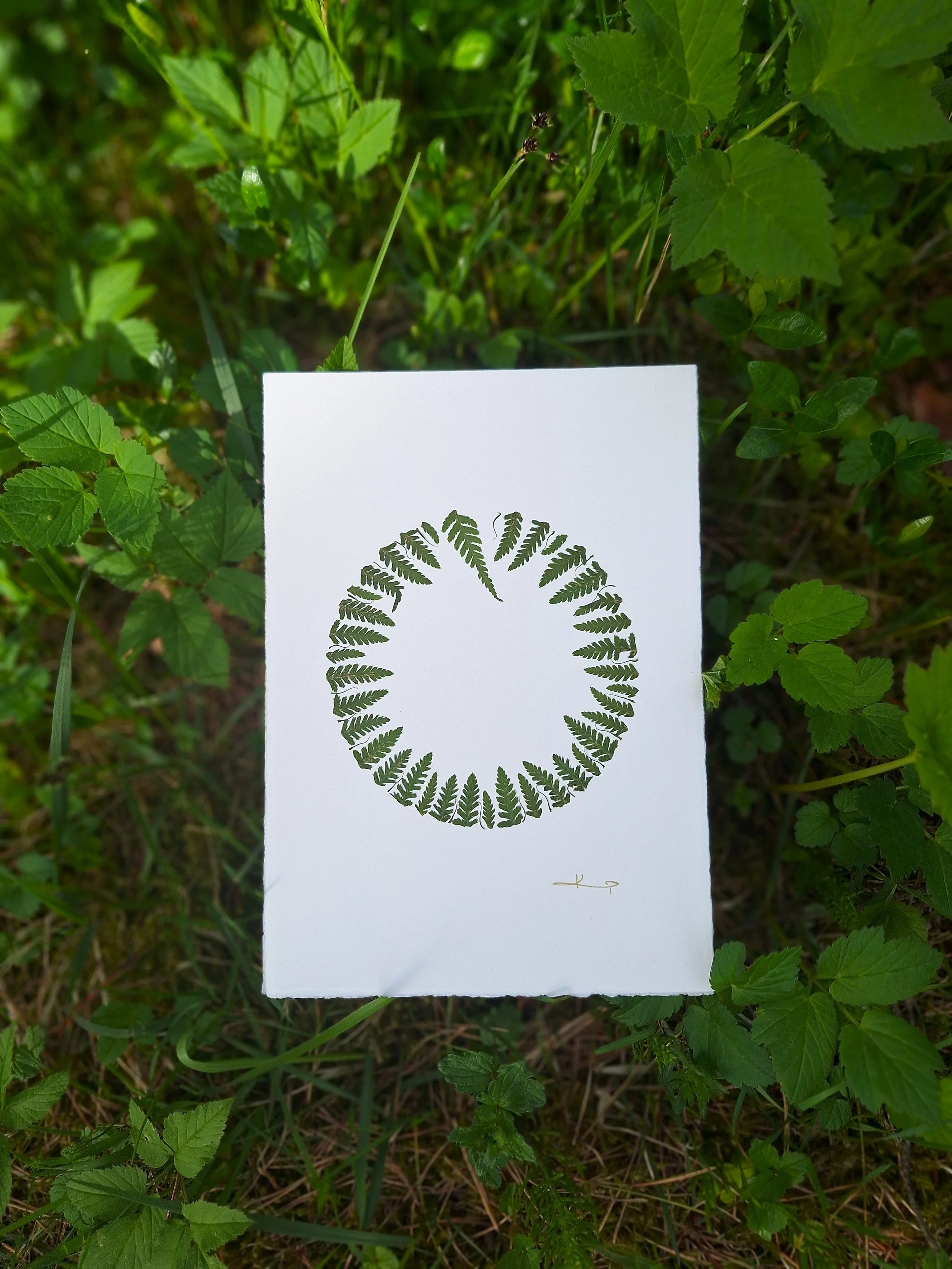 Fern Mandala