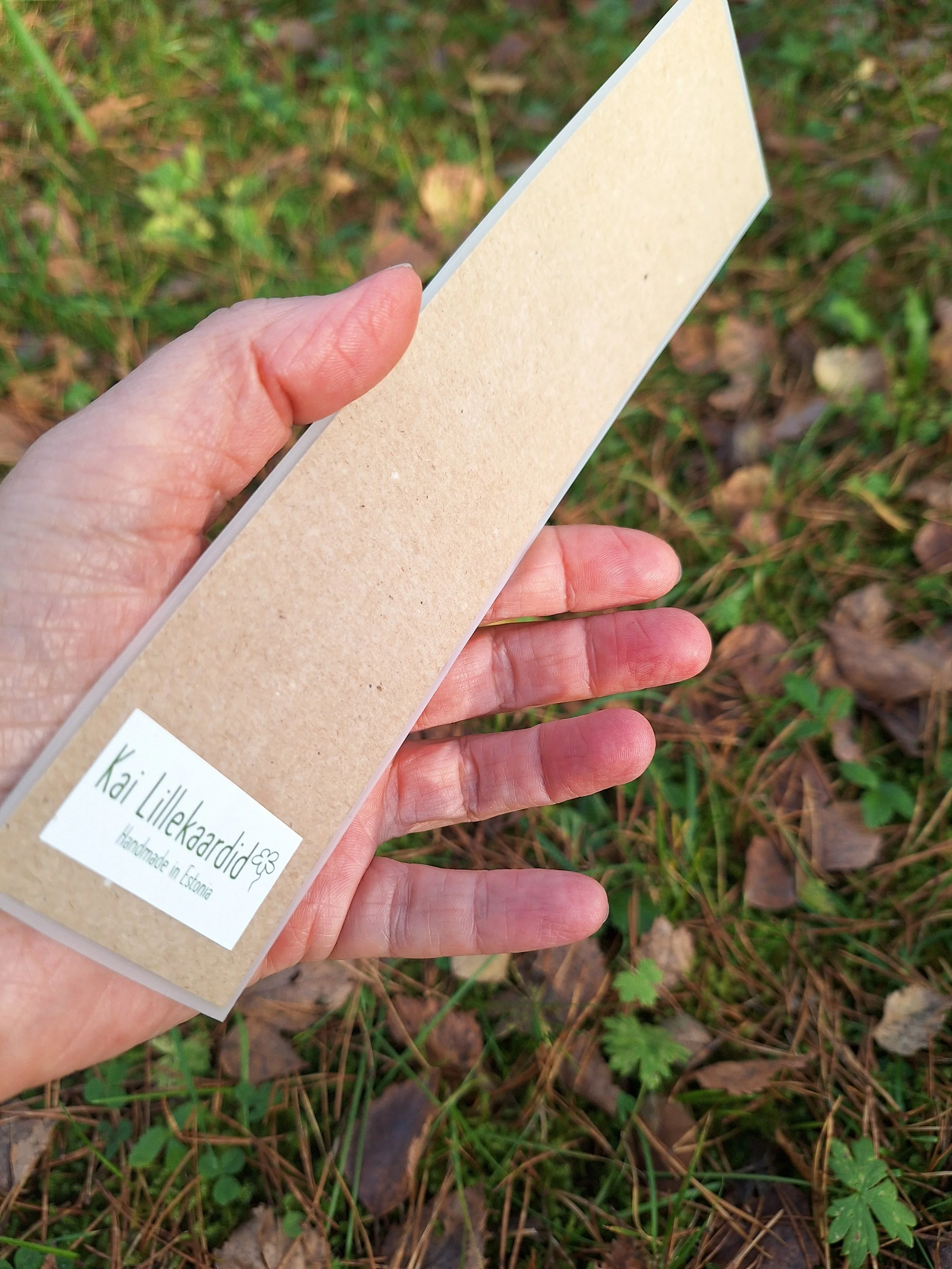 Premium Pressed Flower Bookmark | Matte Laminated Autumn Art