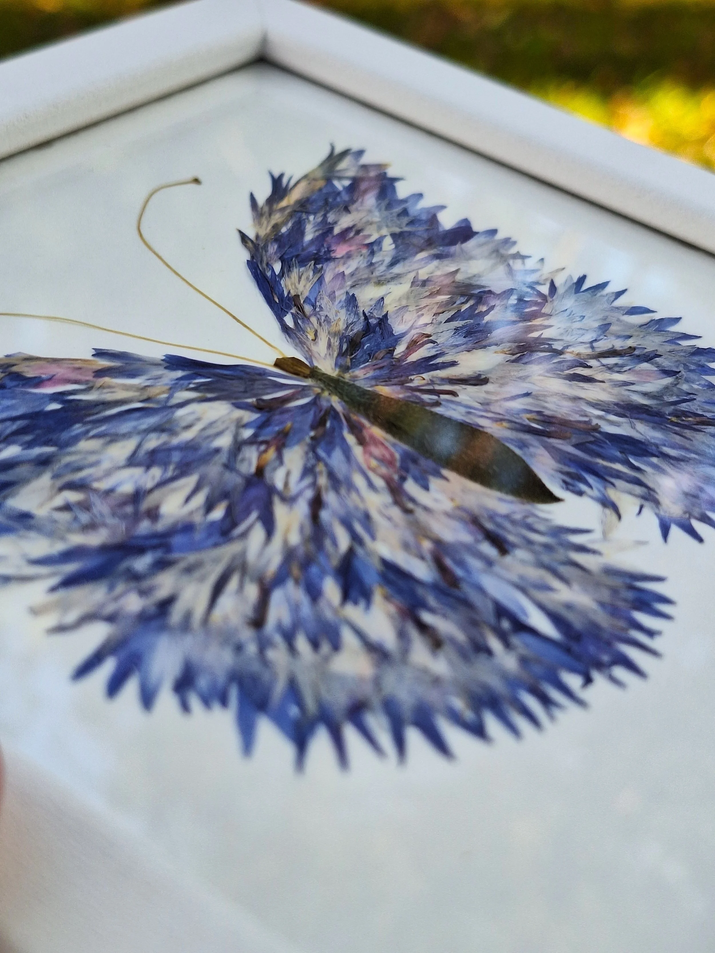 High-end pressed flower art by Kai Lillekaardid featuring a detailed blue butterfly wing mosaic made from authentic real petals, elegantly styled in a square white frame.