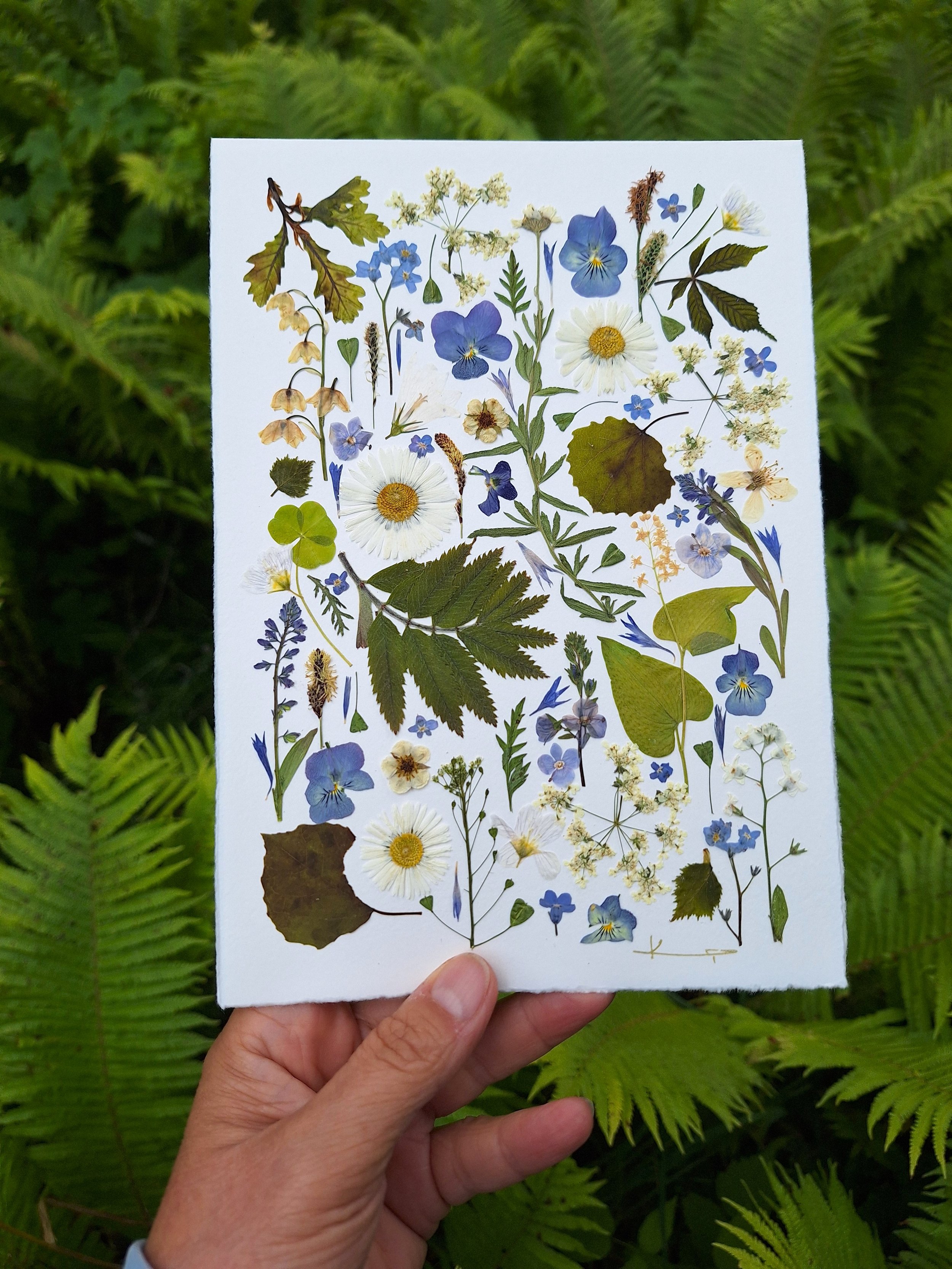 An elegant, minimalist handmade greeting card showcasing an organic arrangement of authentic pressed green delicate botanical leaves and light flowers.