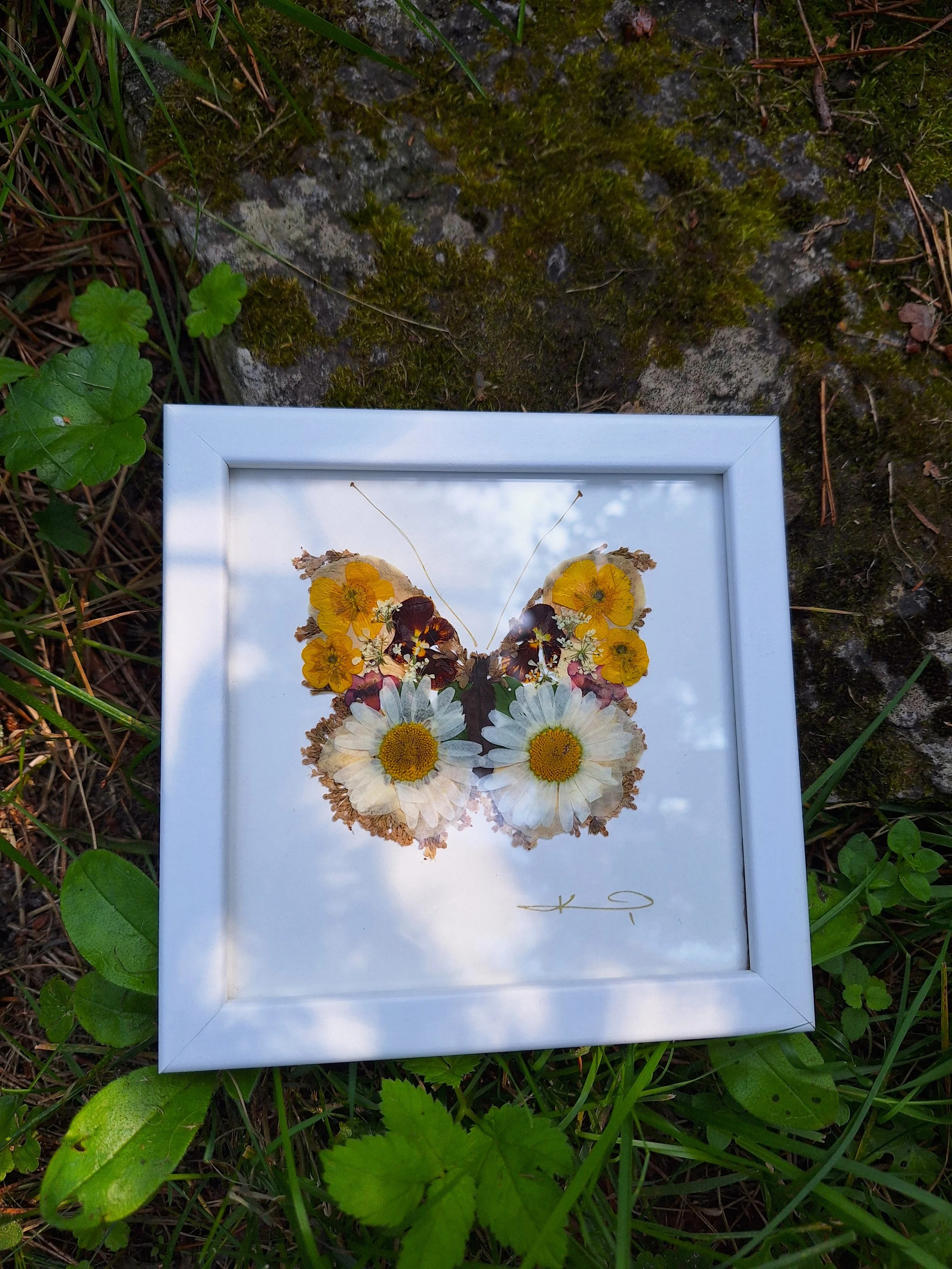 An intricate butterfly mosaic silhouette created entirely from real pressed flower petals, beautifully displayed inside a high-quality white frame.
