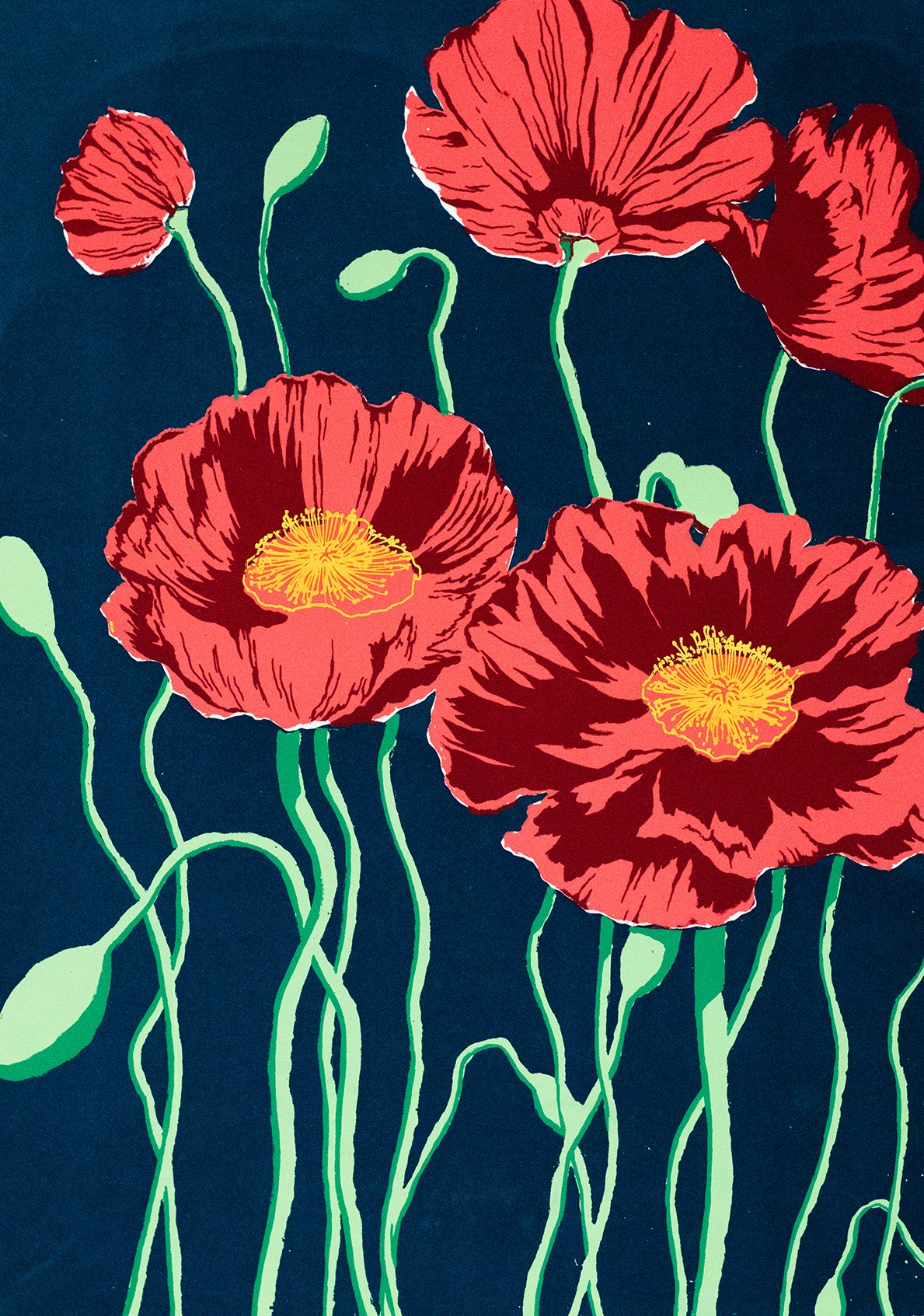 Poppy Night Version Cropped new.jpg