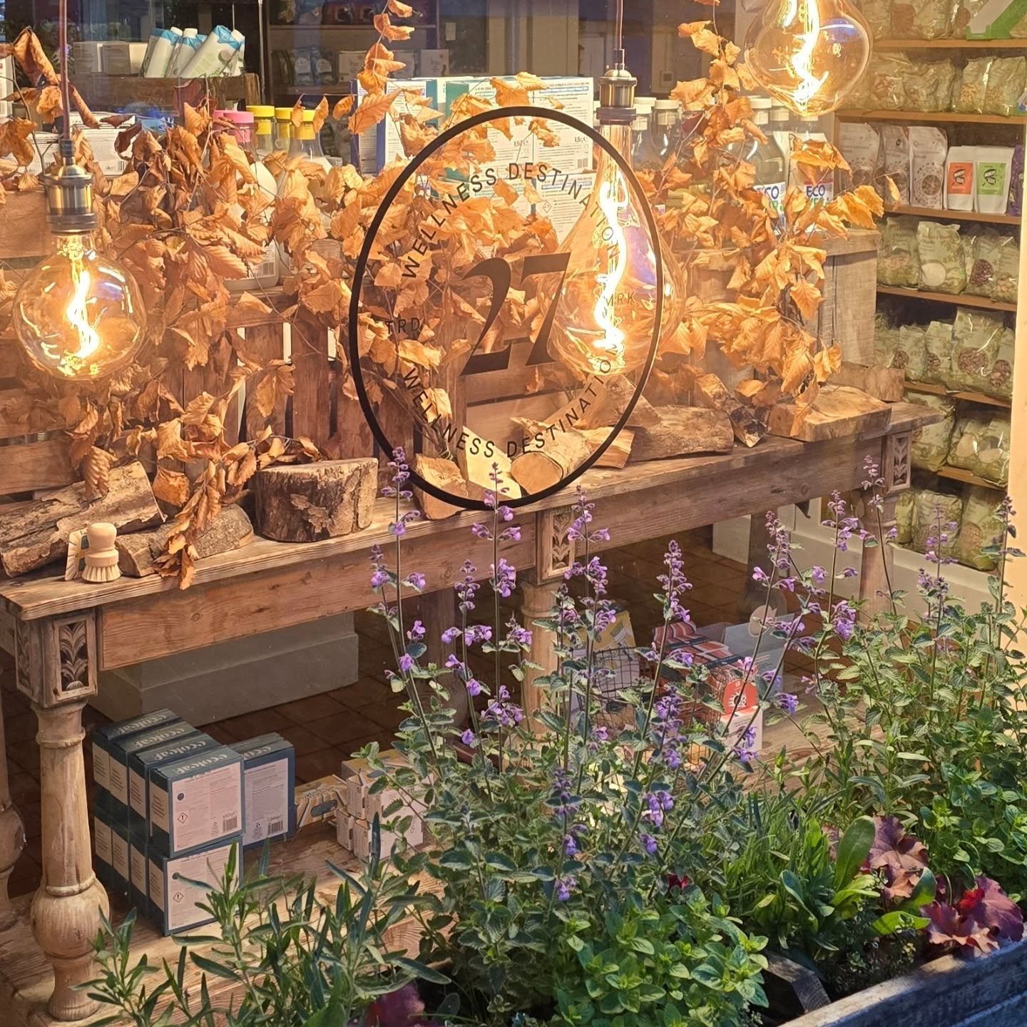 "Zen, and still."&nbsp;That's what one of our customers said about the shop yesterday &mdash; apparently she didn't want to leave.

We changed the lighting last week. Tala Voronoi bulbs in the windows (the ones I've had by eyes on for month